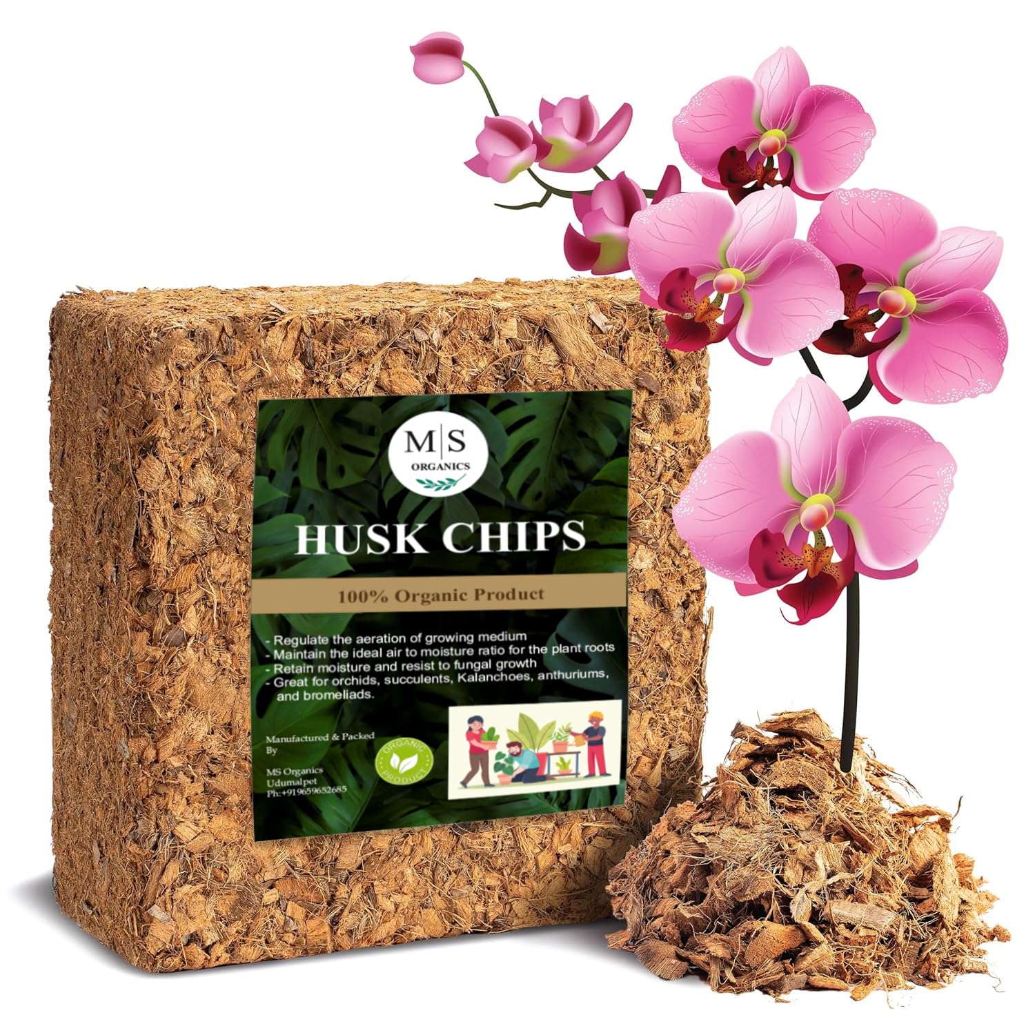 See full amazon price history chart for MS Organics - Coconut Husk Chips for Hydroponic Plants (4.5 KG), Mulch and Potting Mix, Eco-Friendly for Indoor & Outdoor Plants MS Organics - Coconut Husk Chips for Hydroponic Plants (4.5 KG), Mulch and Potting Mix, Eco-Friendly for Indoor & Outdoor Plants (B0D5WTBPW4) Amazon Price History, Amazon Price Tracker