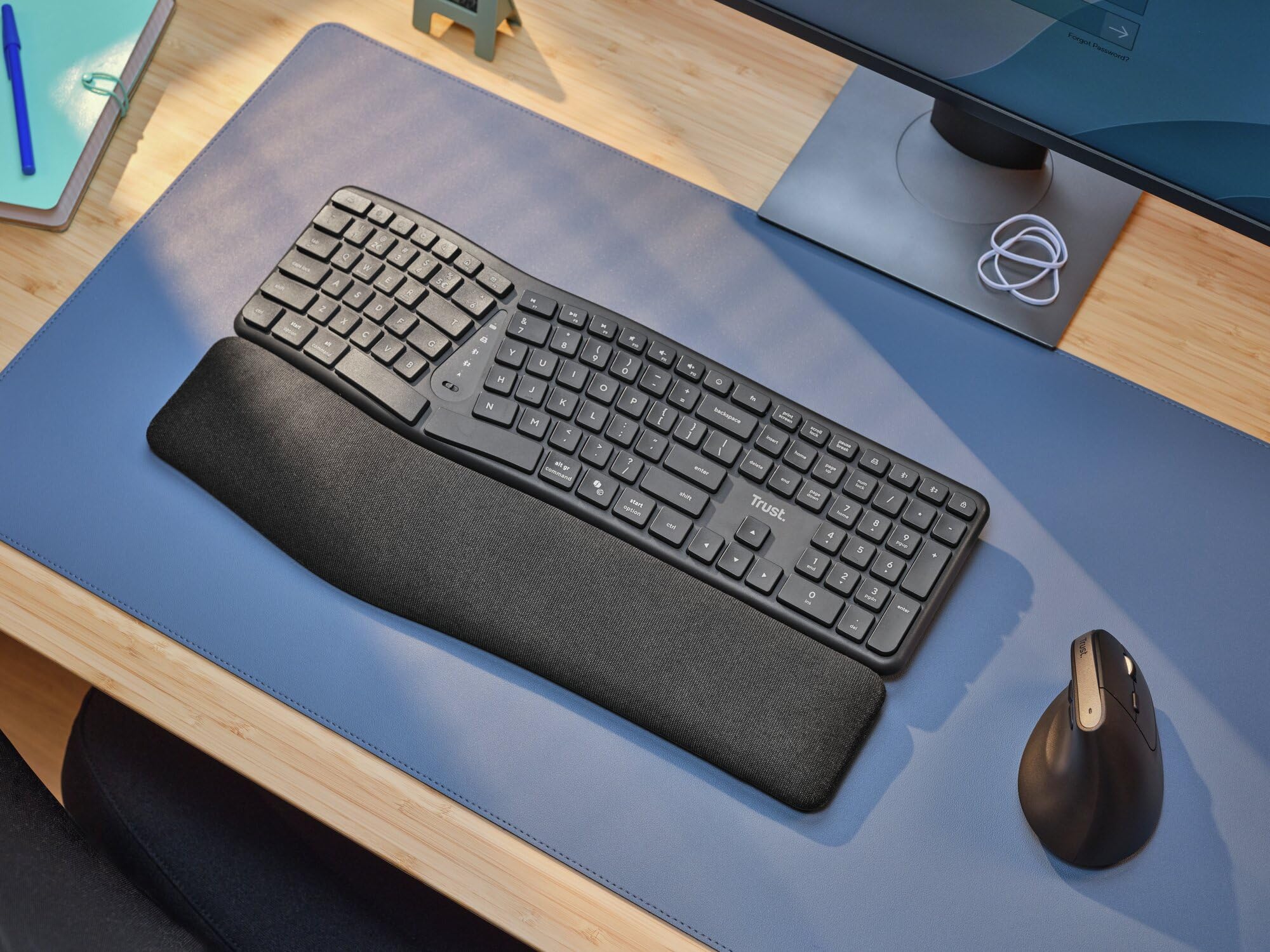 Trust Arvia Clavier Ergonomique sans Fil AZERTY Français Silencieux, Noir | Bluetooth + 2.4GHz, Clavier Bluetooth Multi-appareils Deux Parties avec Repose-Paume, PC Ordinateur Portable Mac