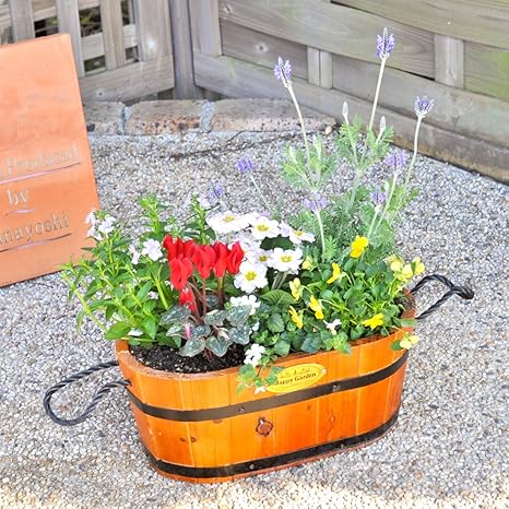 Amazon Co Jp 花由 花色とプランターが選べる寄せ植え 季節のおまかせカントリーガーデン 楕円のニス仕上げ 5日後以降で指定 Diy 工具 ガーデン Amazon Co Jp 花由 花色とプランターが選べる寄せ植え 季節のおまかせカントリーガーデン 楕円のニス仕上げ 5日後以降で指定 Diy 工具 ガーデン