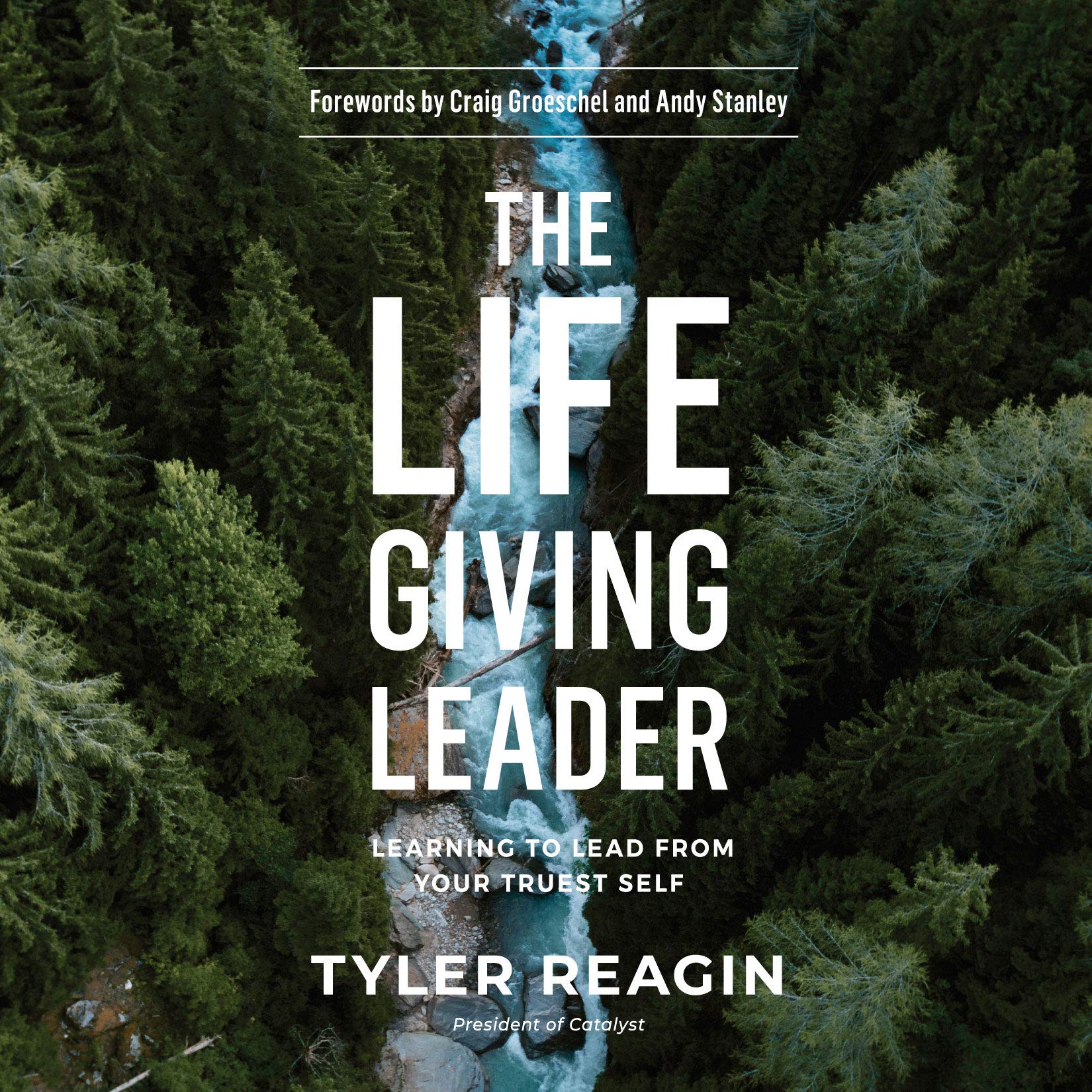 Cover art for The Life-Giving Leader