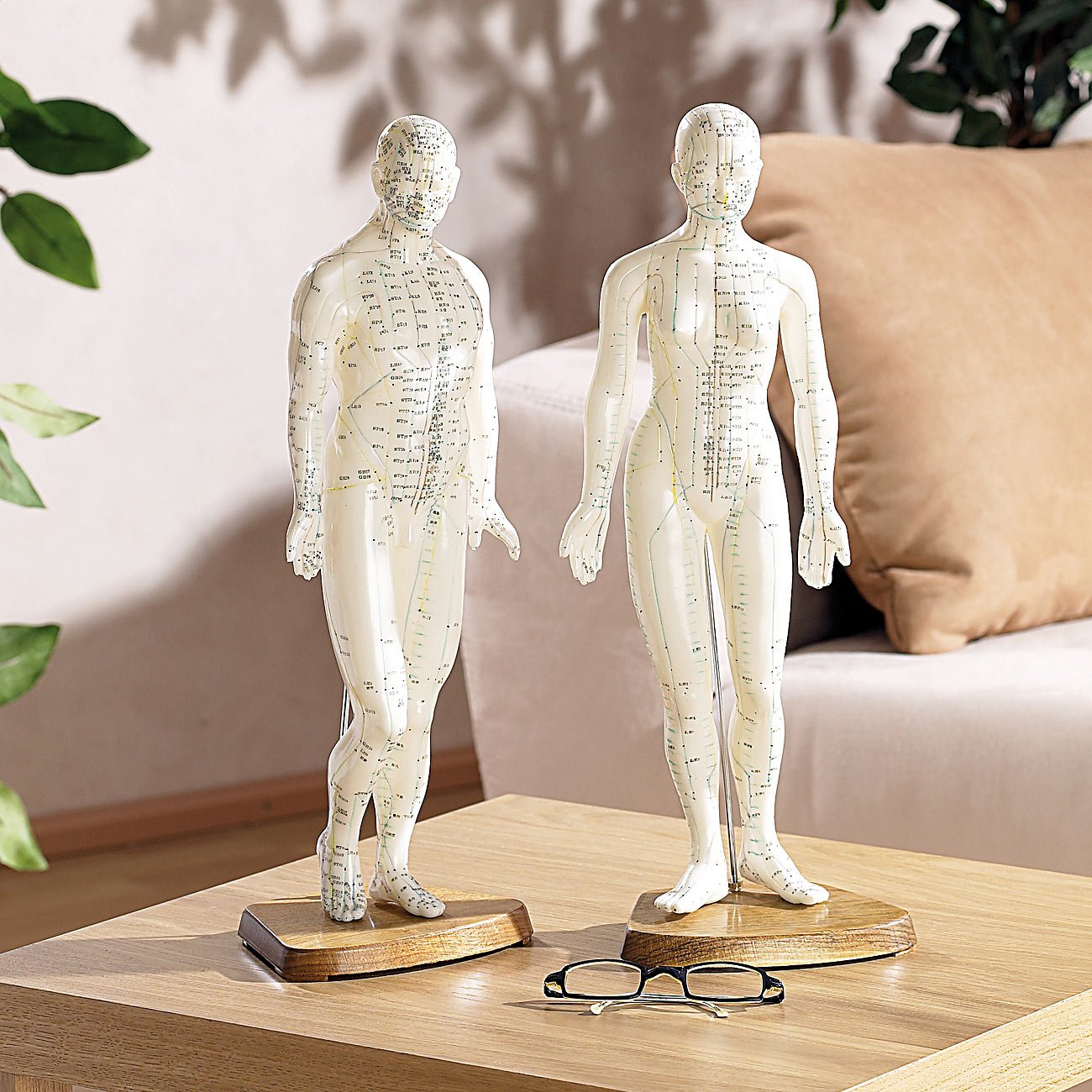 newgen medicals Akupunkturpuppen: Akupunktur-Figuren 2er-Set (Mann/Frau) (Akupunktur Modell, Modell Frau, Gesundheit)