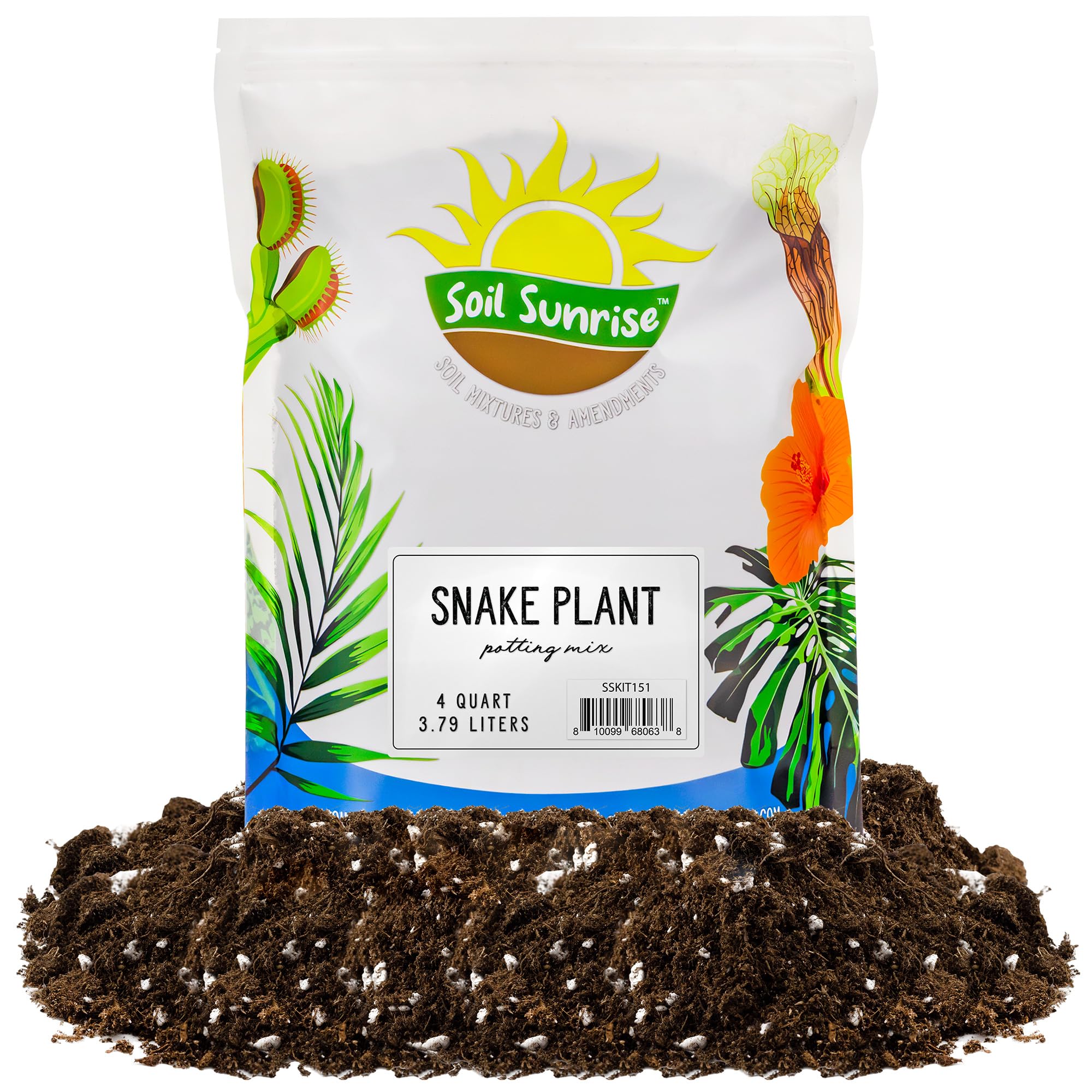 Amazon.com : Snake Plant Potting Soil Mix (4 Quarts), Specialized Blend for  Green Sansevieria Trifascatia Zeylanica Plants : Patio, Lawn & Garden