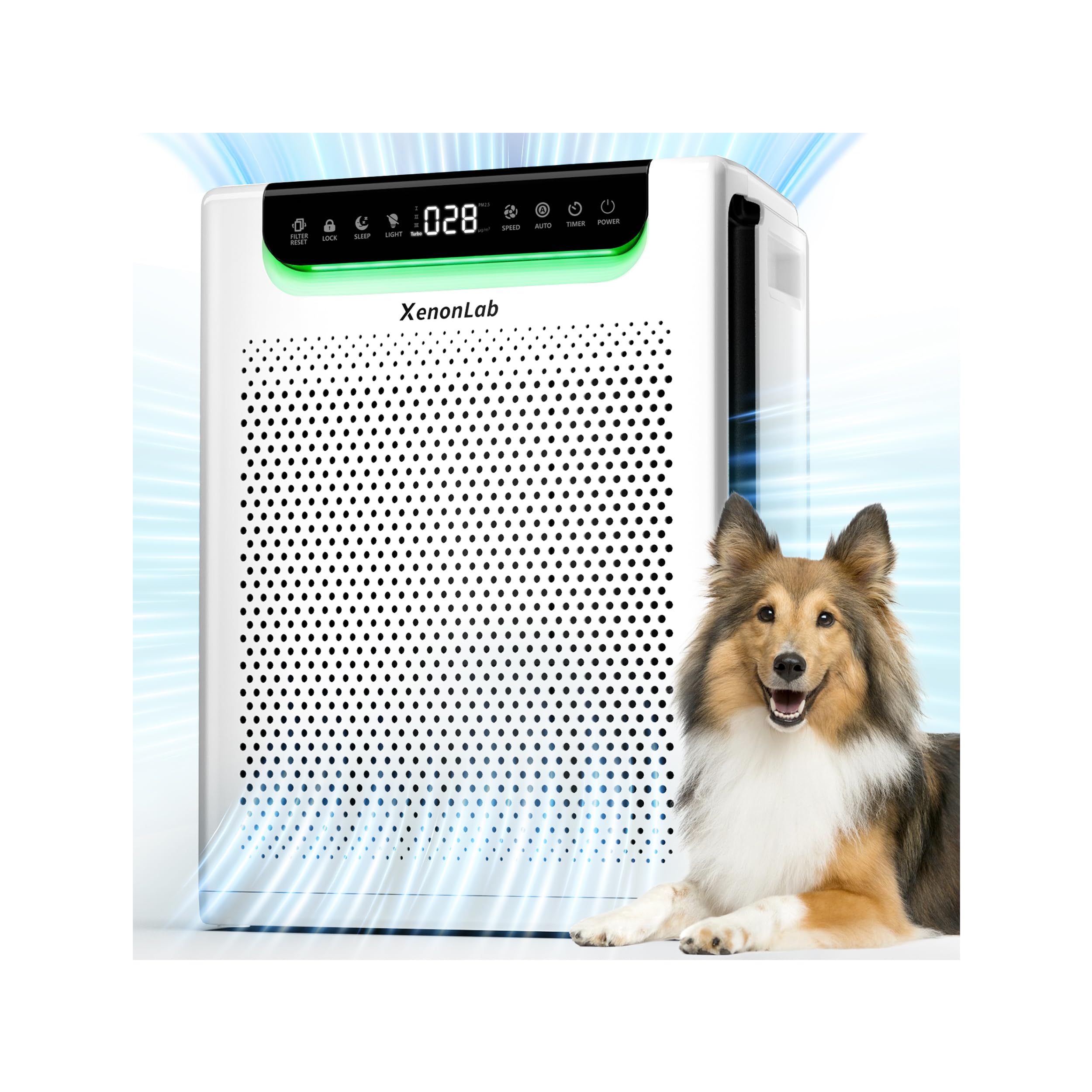 Amazon.com: Air Purifiers for Home Large Room, Cover Up to 2600