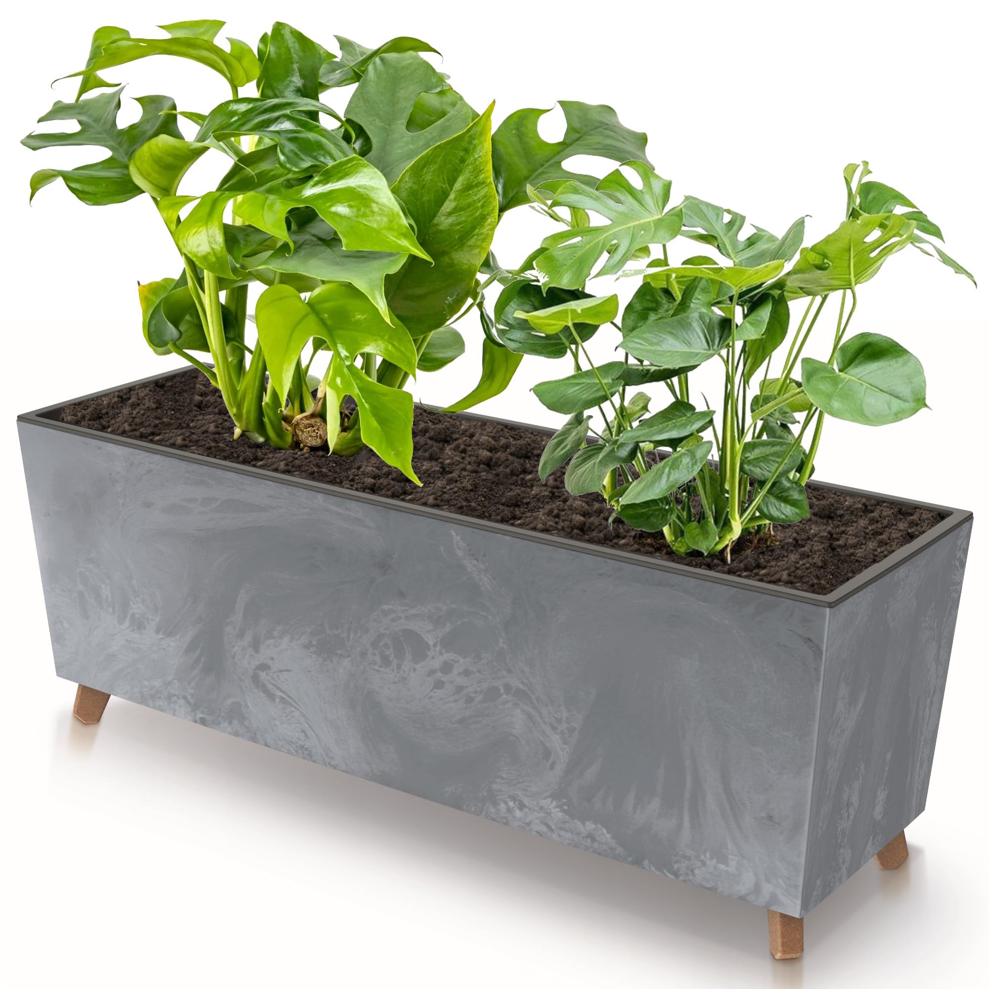 botle Blumenkasten mit Fen Grau 77x30 cm Beton Struktur mit Pflanzeinsatz  Kunststoff groe Gre mit 2 Stabilisatoren UV bestndig Balkonkasten Innen/Auenbereiche:  Amazon.de: Garten