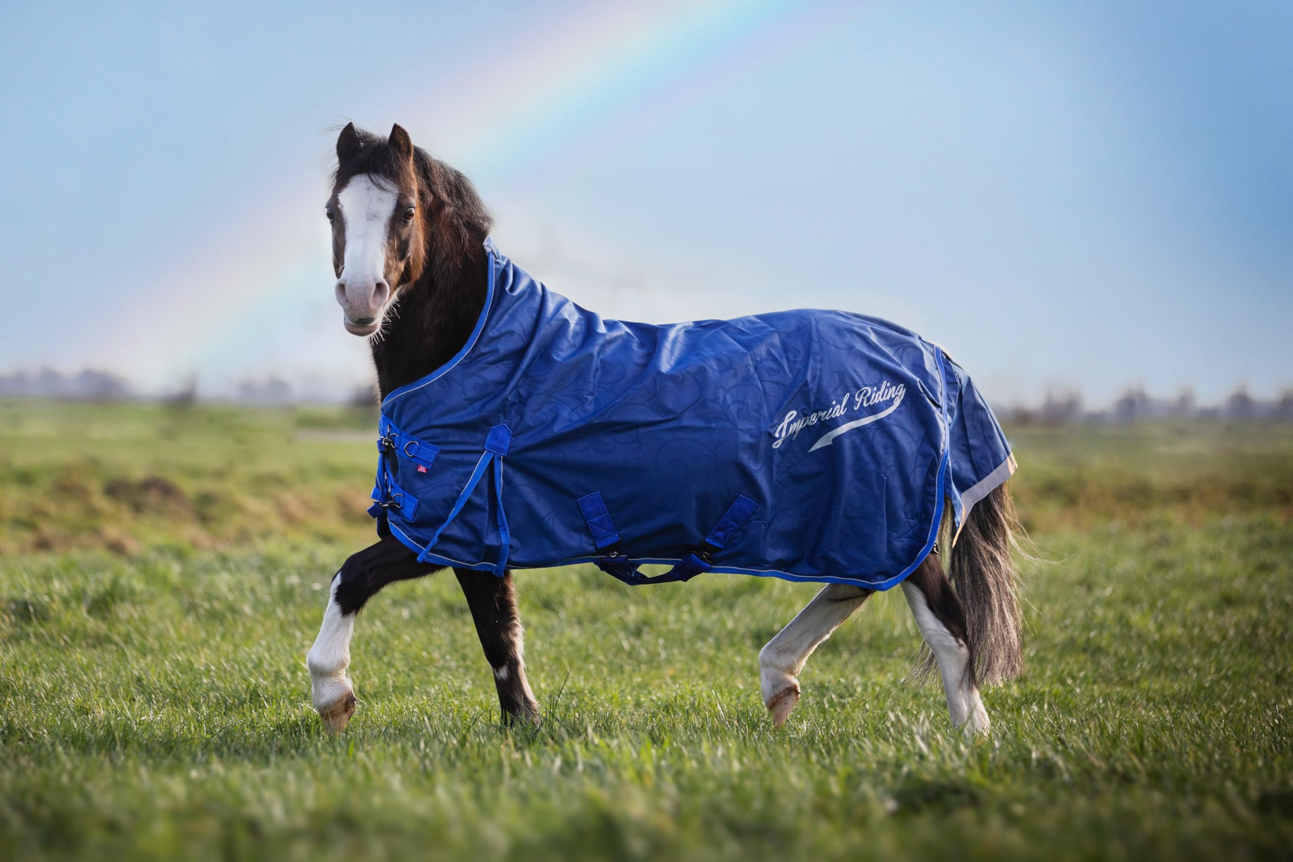 Imperial Riding Outdoordecke IRH Super-Dry 300 g, wasserdicht & atmungsaktiv, 600D Polyester 300 g Füllung, warme Winterdecke für Pferde, robust & pflegeleicht, Navy, 125