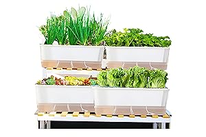 Self Watering Pots 3 Pack:Plant Pots Designed for Indoor Gardens