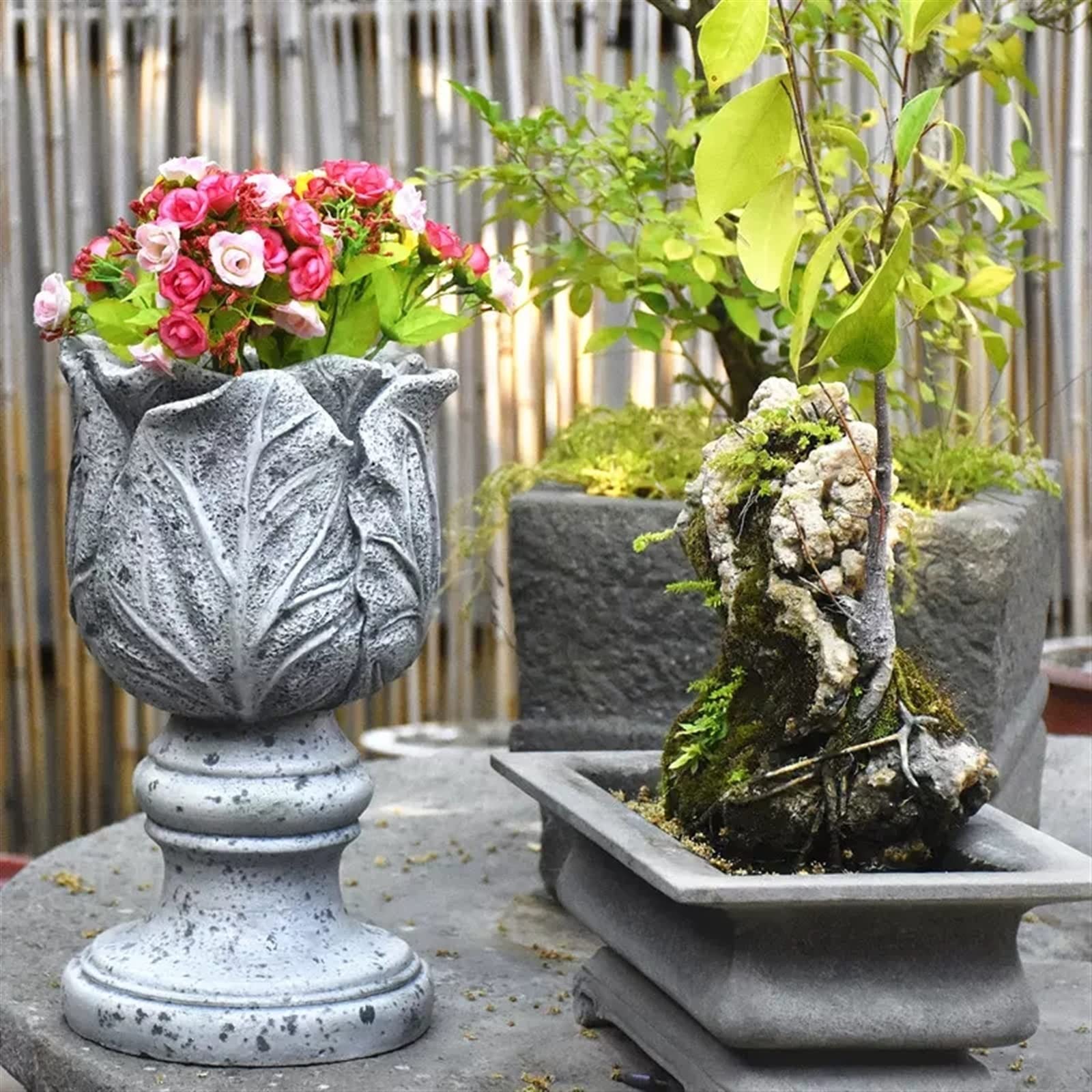 Divas World Fioriera A Forma Di Fungo In Cemento – Grande Vaso Per Giardino E Outdoor – Regalo Unico