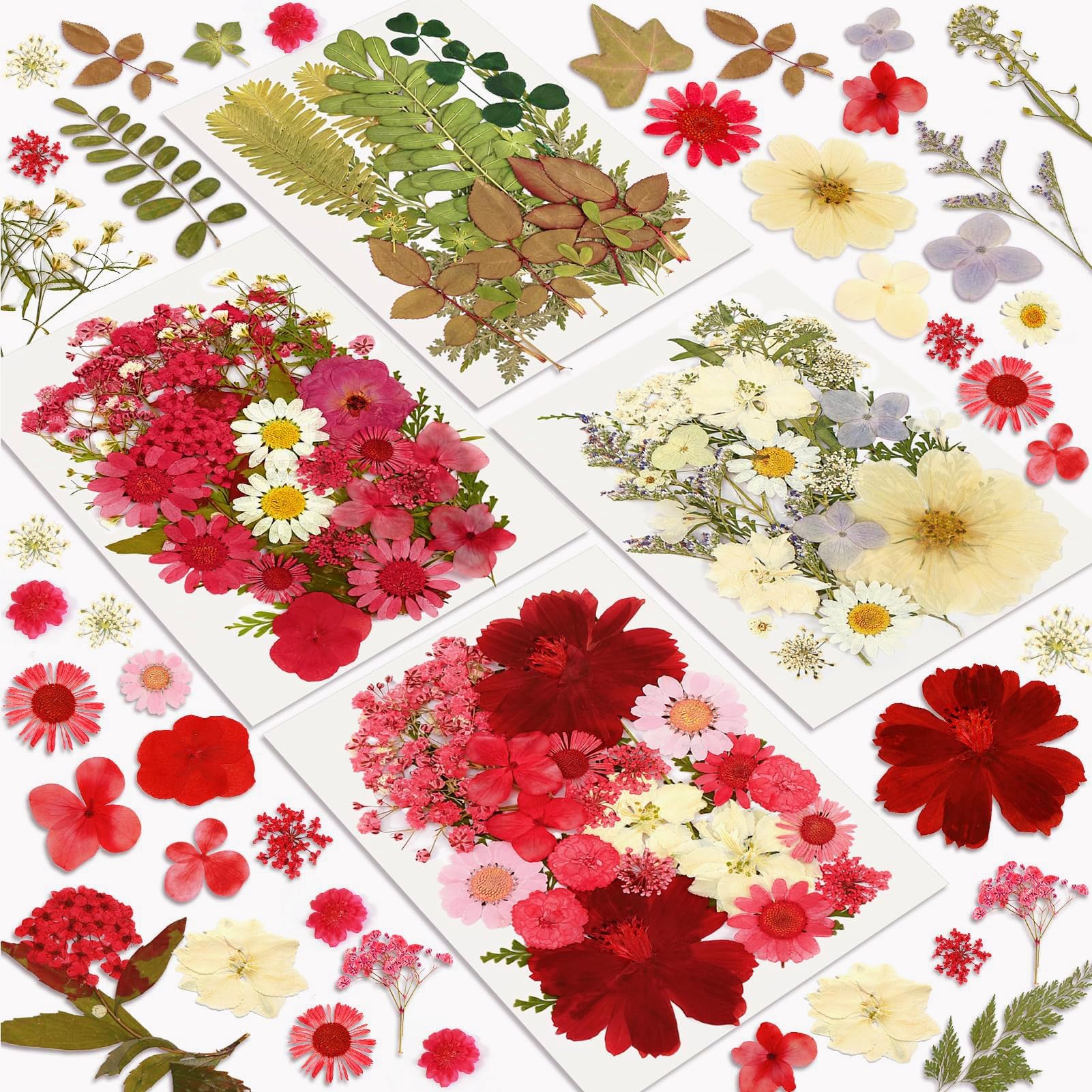 Dried Flowers, Resiners 100Pcs Pressed Flowers for Resin Soap Candle Scrapbook Supplies Card
