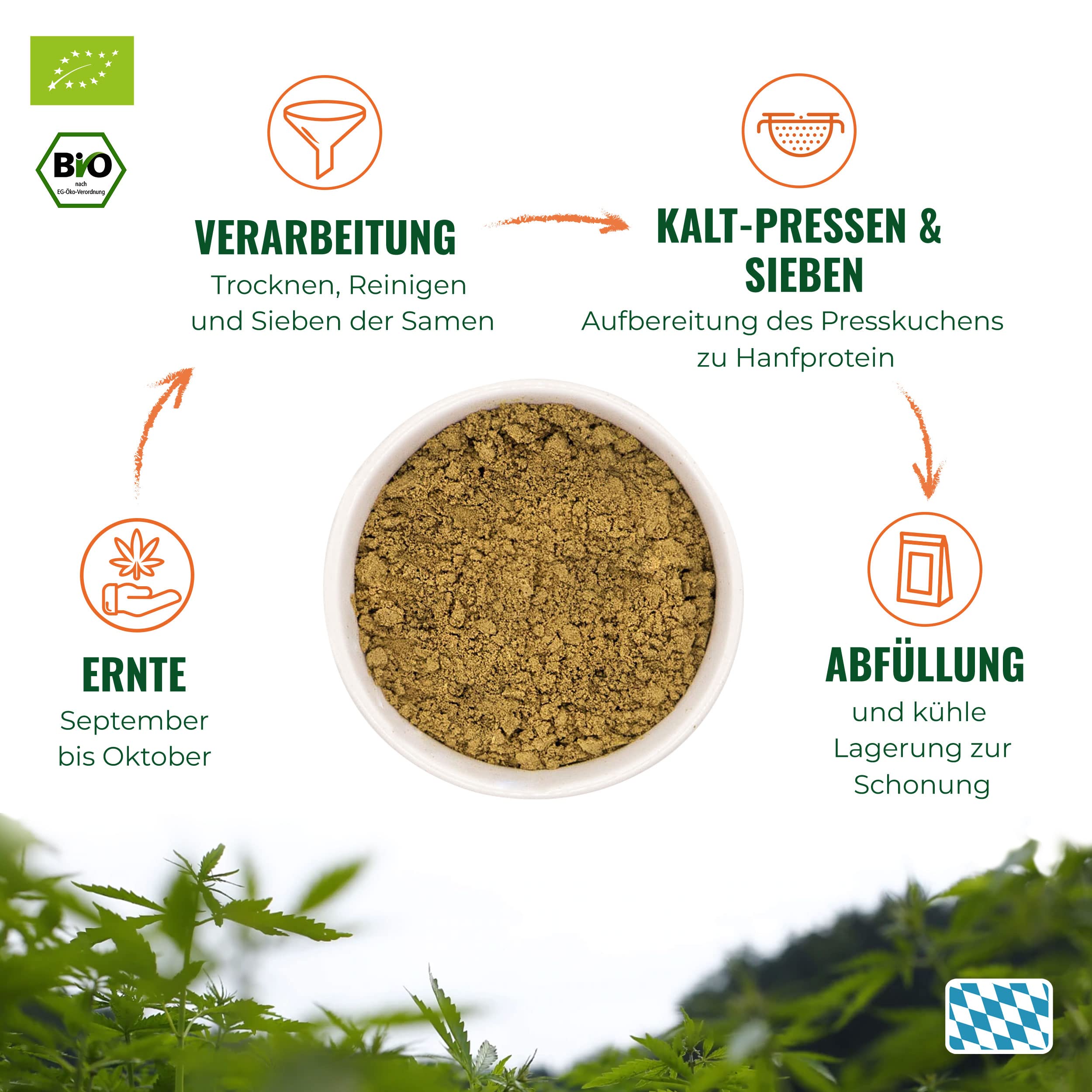Bio Hanfprotein Pulver 1000g I 55% Eiweiß | Proteinpulver aus Deutschland | Pflanzliches Hanfpulver ohne Zusatzstoffe | Superfood Eiweißpulver mit essenziellen Aminosäuren | Vegan I HANS Brainfood