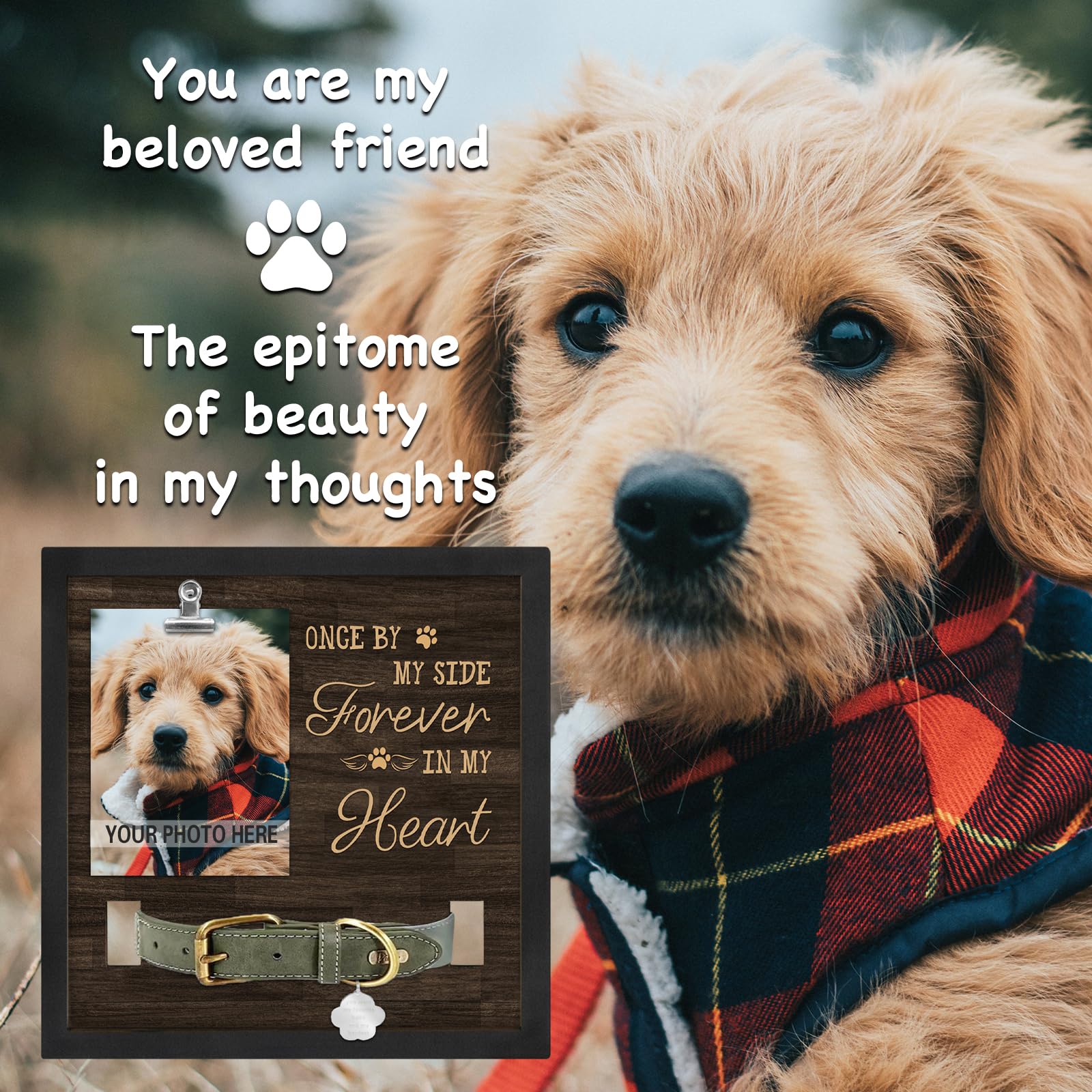 PUREFLY Dog Memorial Gifts for Loss of Pet, Pet Loss Sympathy Gifts, in Memory of Dog Passing Away, Forever in My Heart