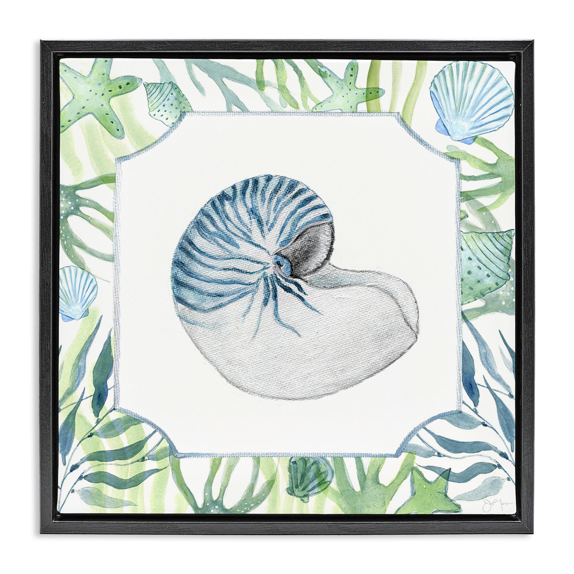 Stupell Industries 'Seaweed & Seashells Aquatic', Floating Frame Canvas Art, Black, 18 x 18 Inches, Easy to Hang and Sturdy, Made in USA, by Janet Tava