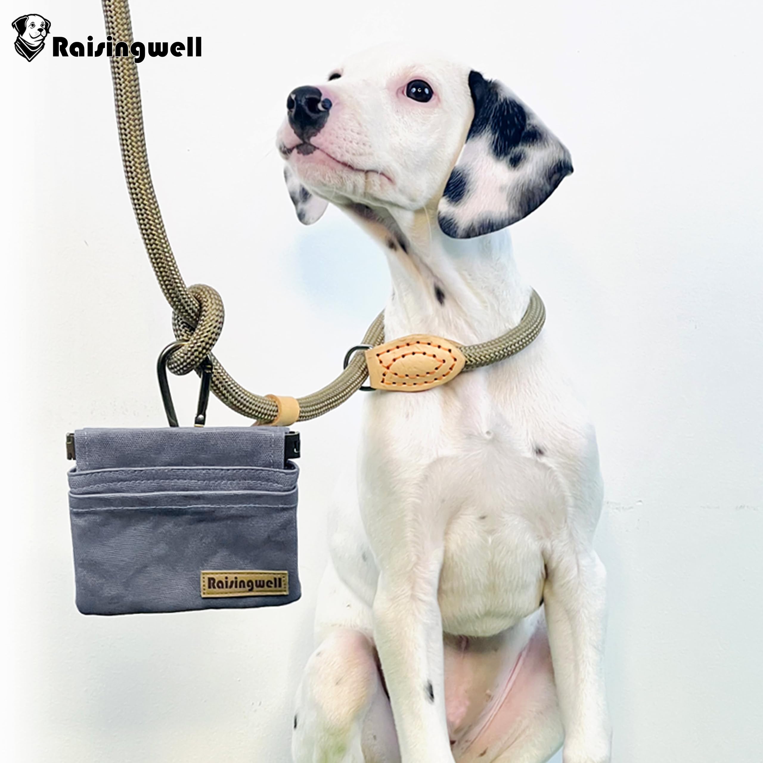 Raisingwell Pochette à friandises pour chien, petit support de dressage en coton, sac banane mains libres avec mousqueton, récompense de collation pour animal de compagnie, aide au comportement pour