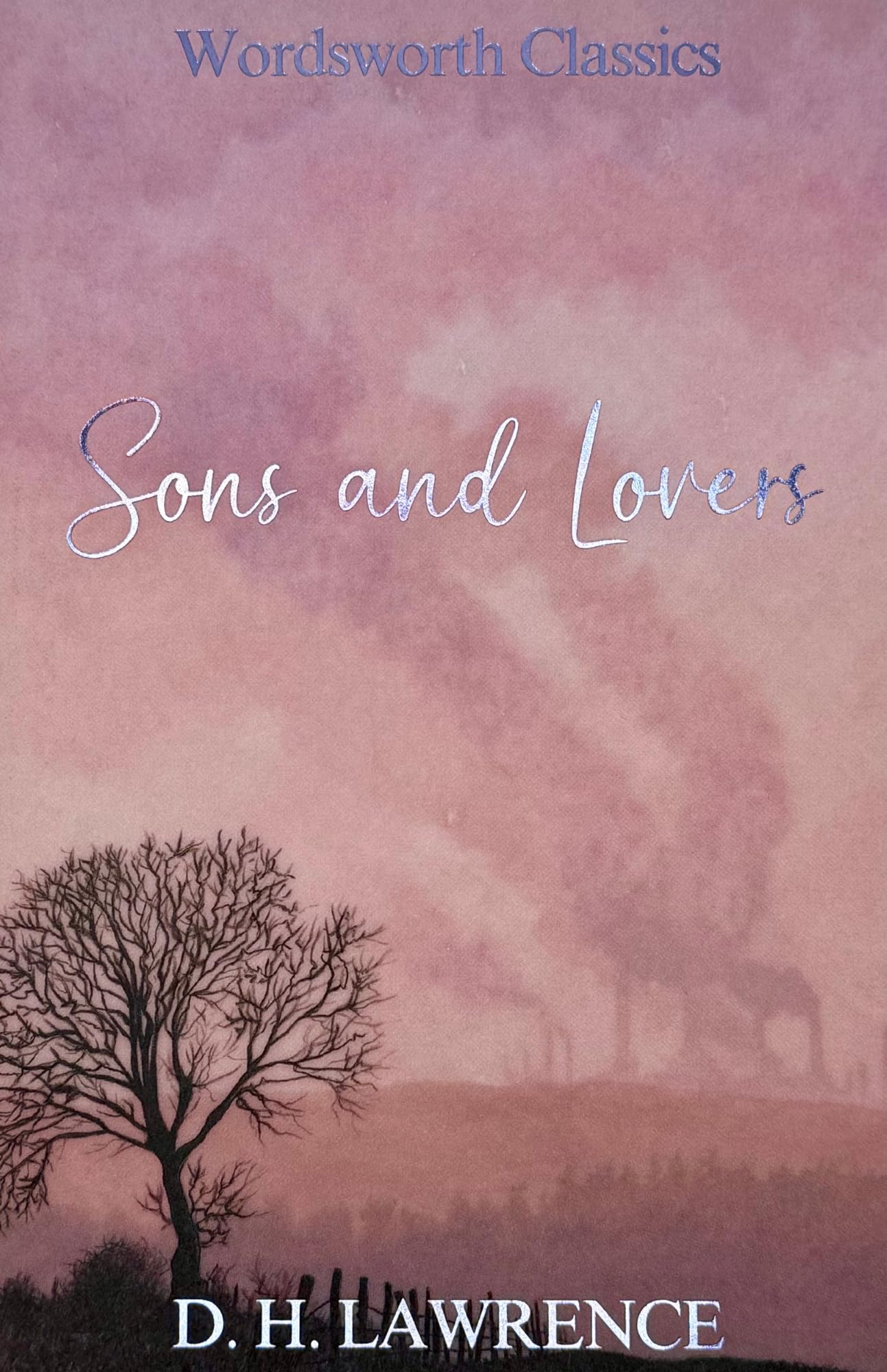 Sons and Lovers (Wordsworth Classics),D.H. Lawrence, Dr Howard J