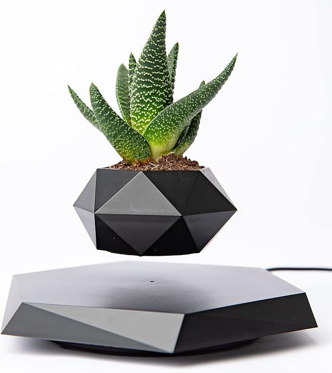 BandD Floating Plant Pot Levitating Plant Pot for
