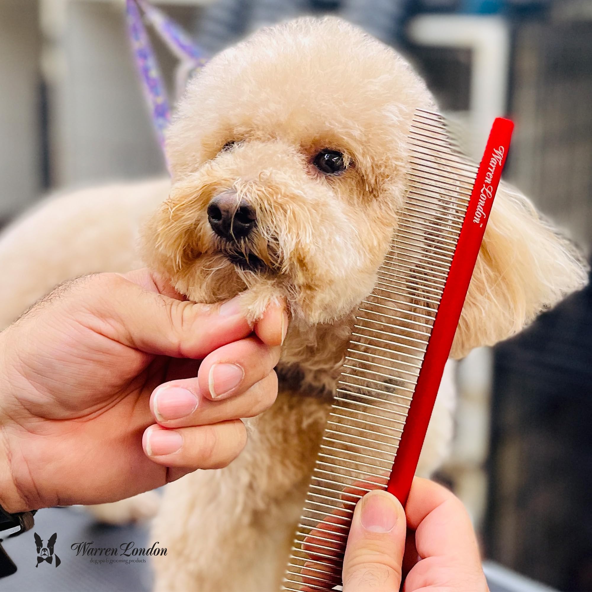 Warren London Entwirrender starker Kamm für Hunde, 25,4 cm, Komfortkontrolle, Haltbarkeit und Details für kleine, mittelgroße und große Hunde, ergonomische Fellpflege für Hunde und Katzen,