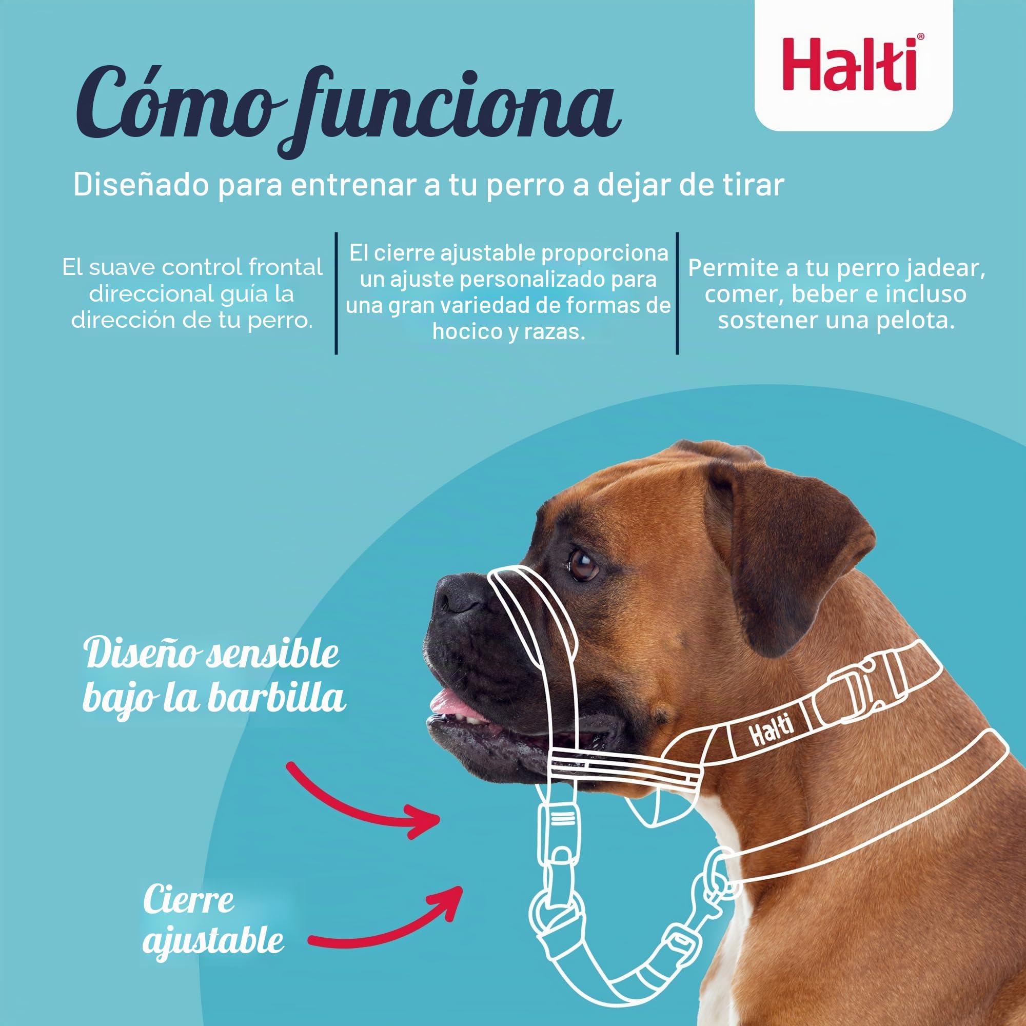 Halti Optifit - Paquete combinado de collar y correa de entrenamiento, evita que el perro tire en paseos con Halti, incluye collar de cabeza Optifit mediano y correa de doble extremo, negro, collar de