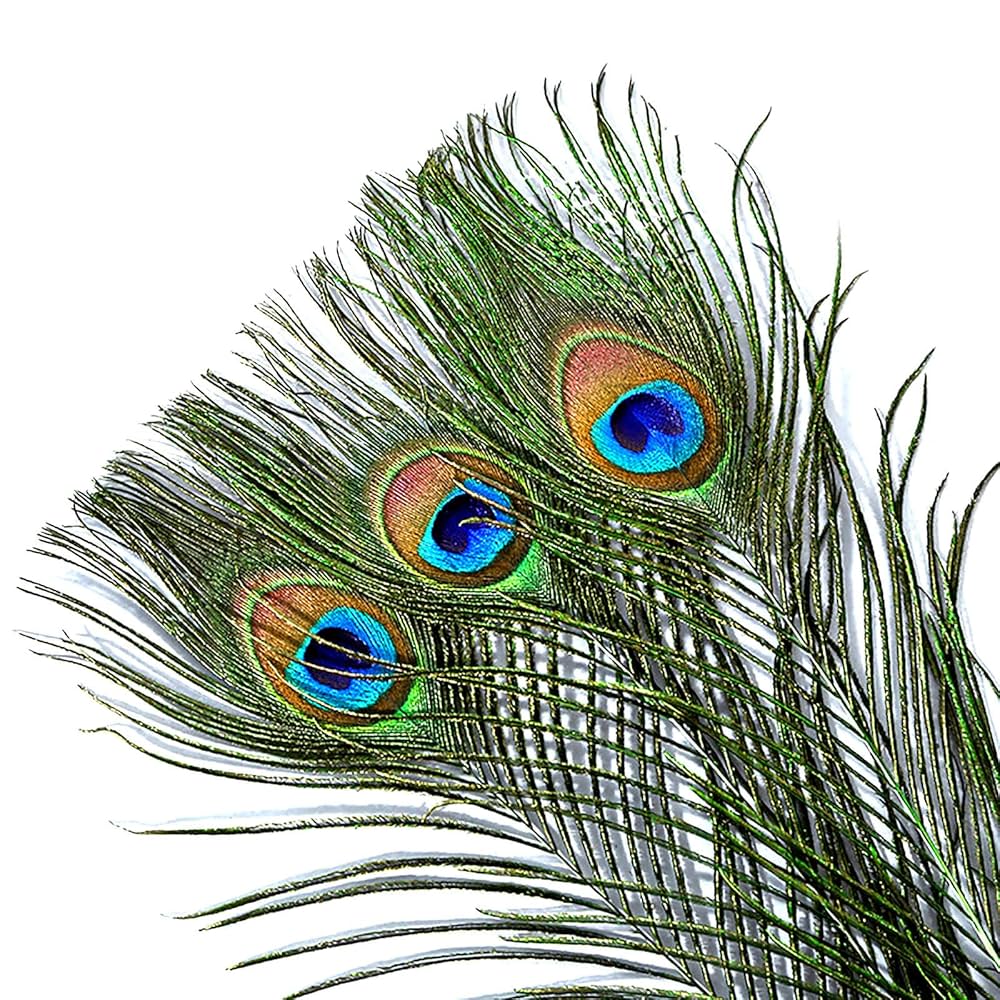 Amazon.co.jp: Piokio 10個 天然孔雀の羽 バルク20-23インチ (50