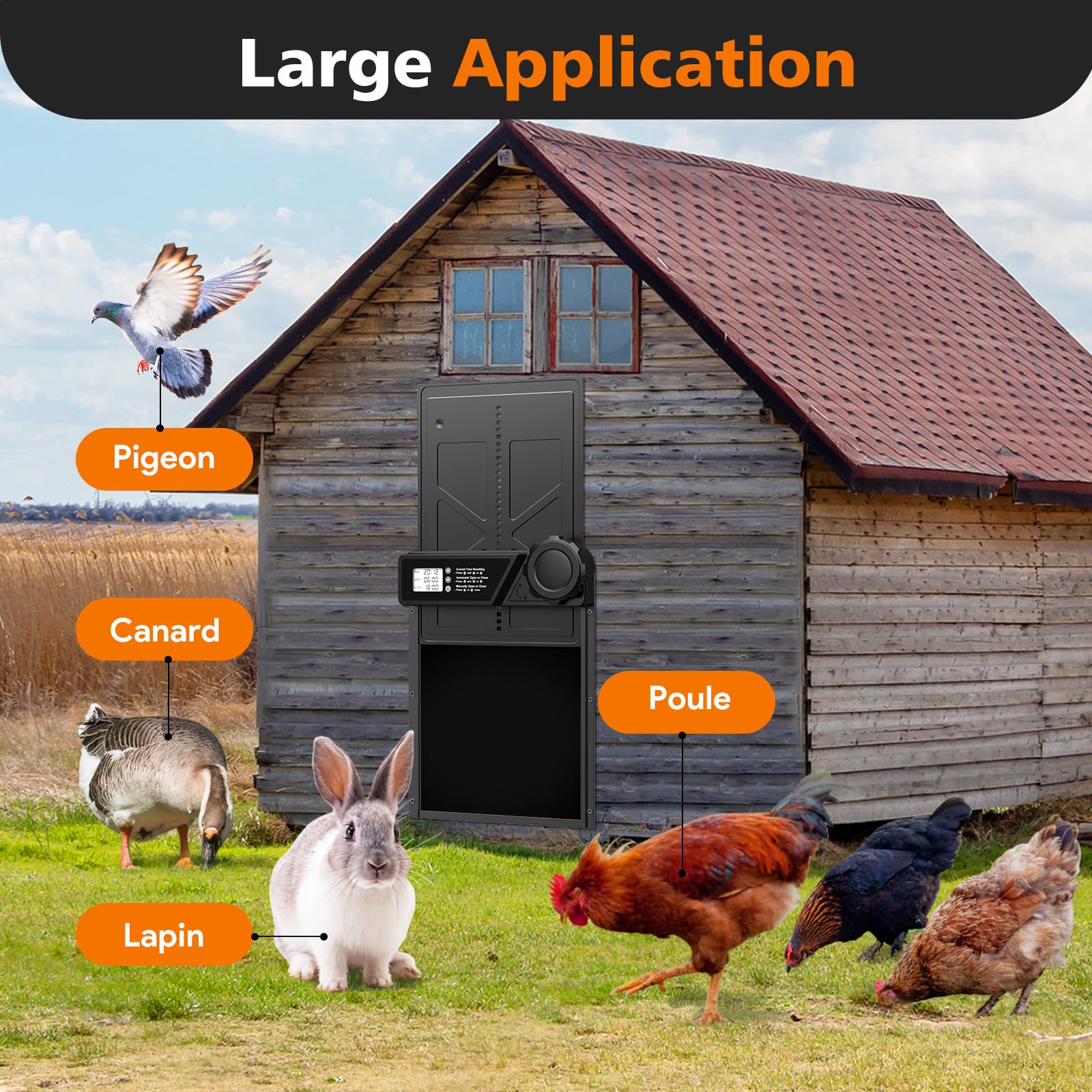 Grande Porte Poulailler Automatique Batterie avec Écran LCD Étanche, Porte Automatique Poulailler en Aluminium avec Minuterie, Fonction Anti-pincement, Résistant Aux Intempéries, Noir