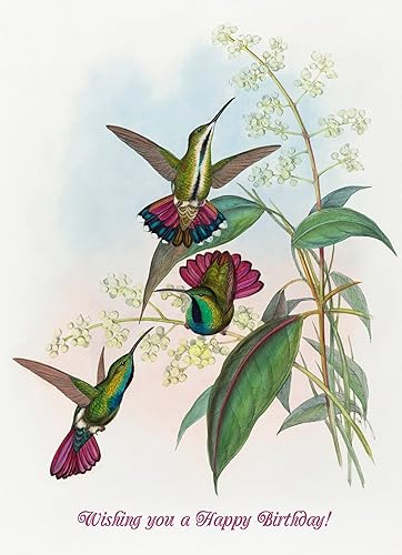 Miniatura 6 de PIXILUV Tarjeta de felicitación de feliz cumpleaños  Pareja vieja con sus animales  Deseos de cumpleaños Vintage Tarjeta de felicitación grande arte