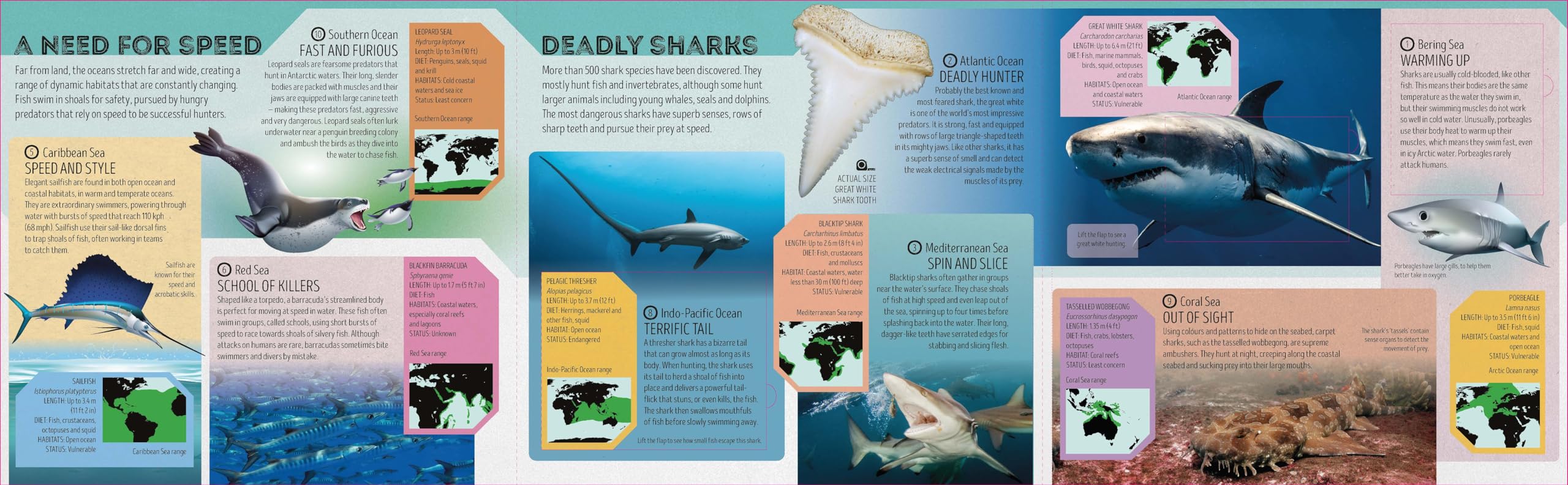 Deadly Animal Atlas -anglais-: Amazing Facts, Fold Out Maps & Lift the Flaps | Meet Snakes, Sharks, Tigers, Jellyfish & More | Packed with Beautiful Illustrations