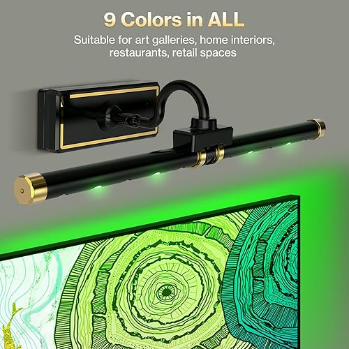 Miniatura 6 de Laliled Luz de imagen, luz de pintura recargable a batería con control remoto, luz de arte regulable para pinturas, luz de imagen inalámbrica para