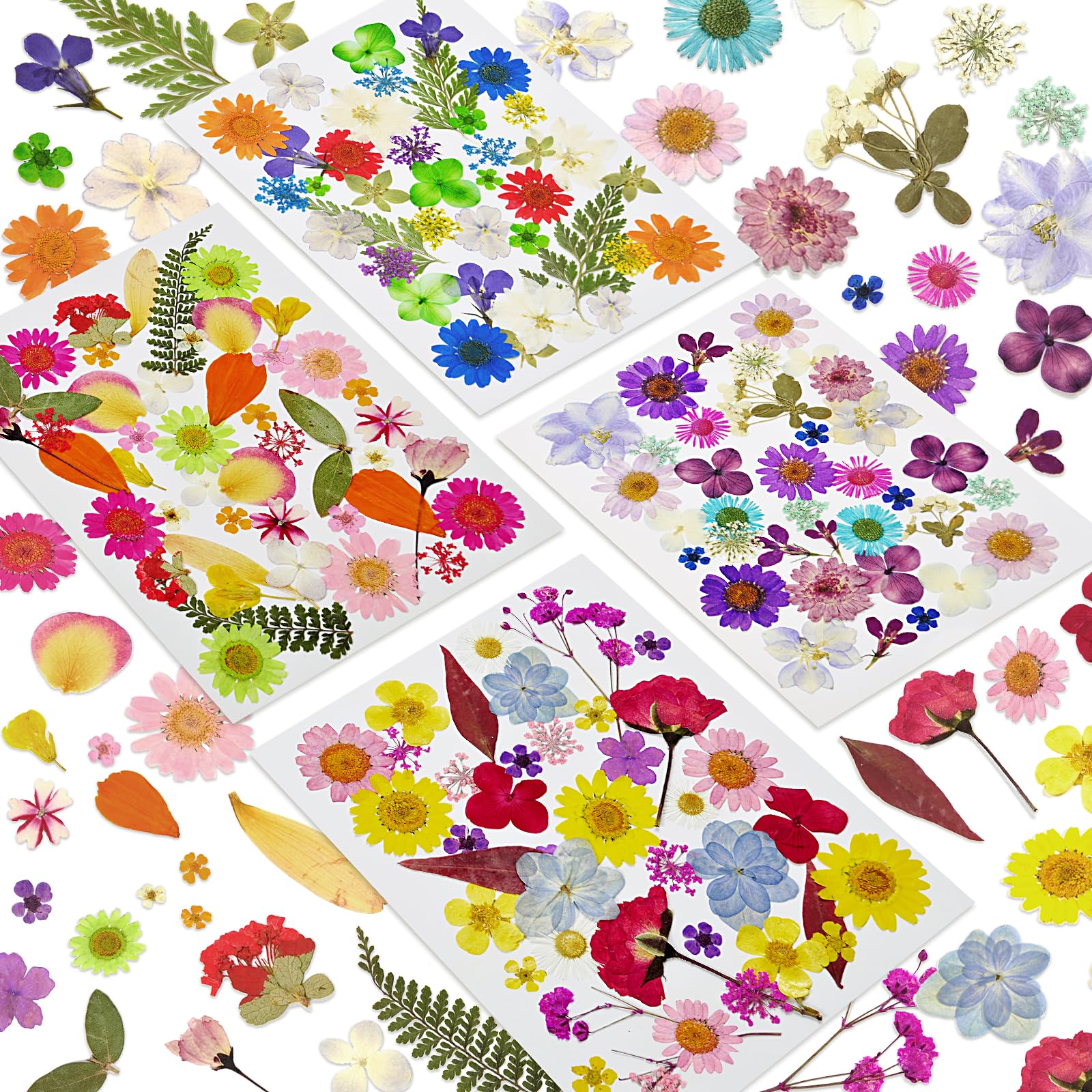 150 Pcs Pressed Flowers Bulk Dried Flower for Crafts