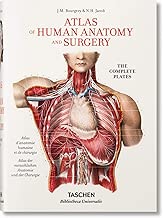 Download KO-Bourgery - The complete atlas of human anatomy and surgery PDF