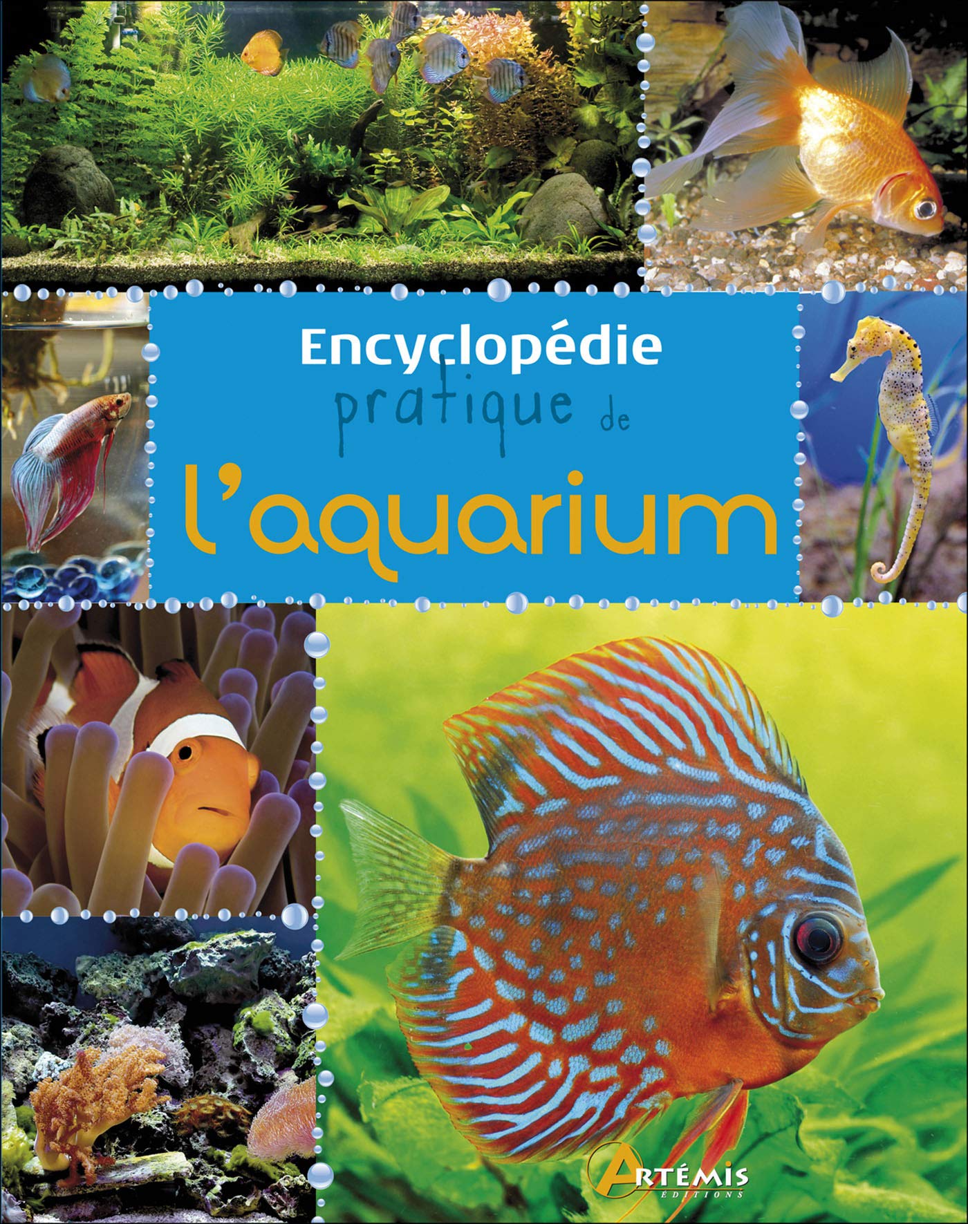 Atlas De L Aquarium D Eau Douce L'Encyclopédie De L'aquarium D'eau Douce | siapp.cuaed.unam.mx