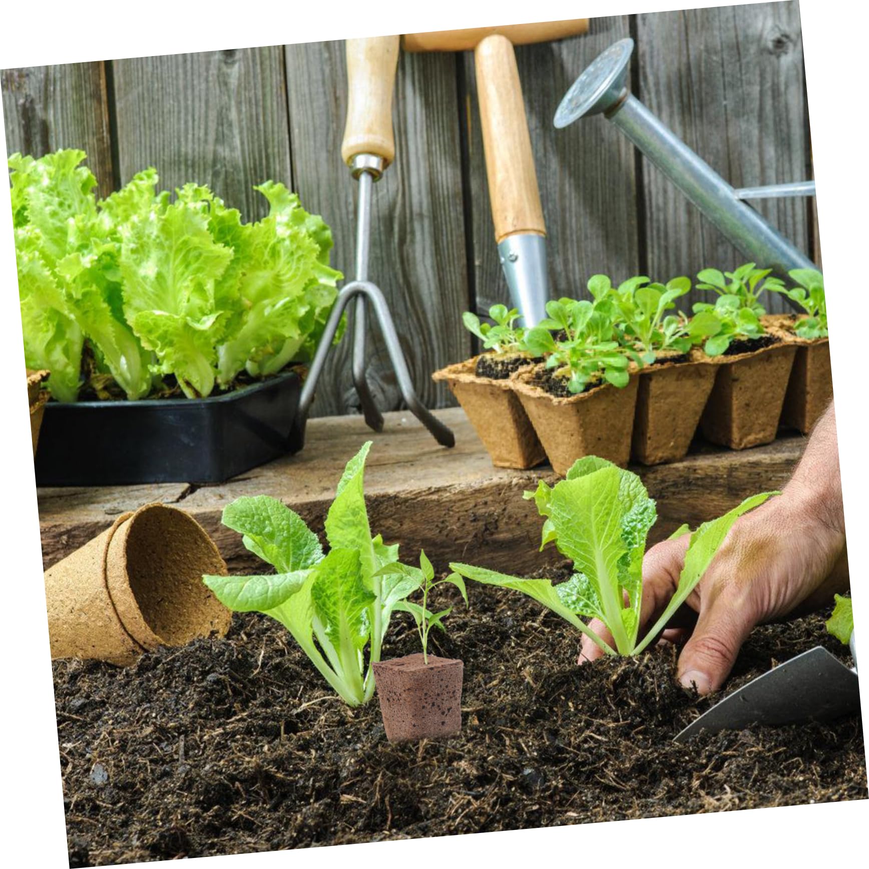INOOMP 120pièces Cubes De Culture pour Plantes De Blocs De Hydroponiques Substrat Respirant Et Nourrissant pour Transplantation Réussie pour Jardinage Propagation des Plantes