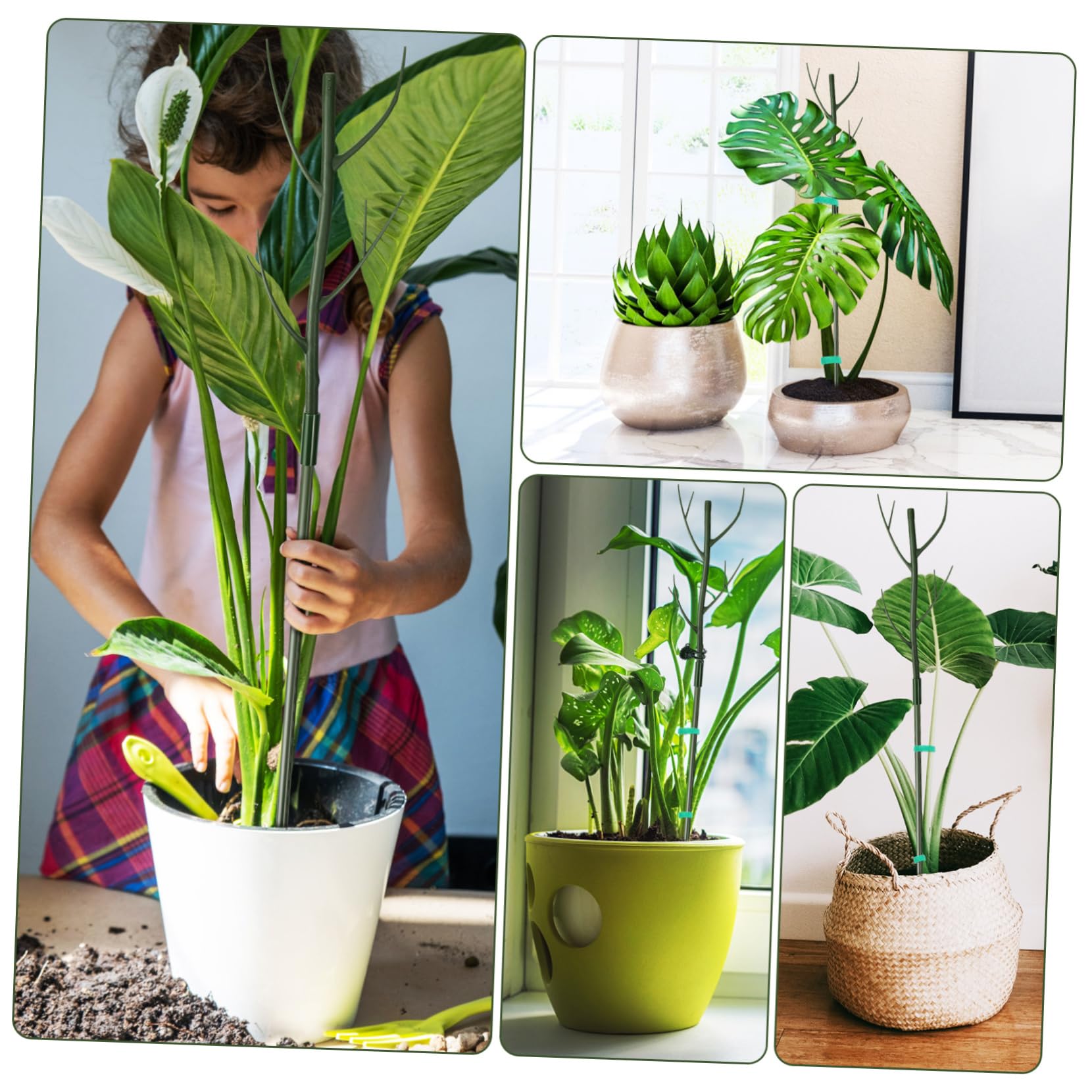 ifundom Lot de Tuteurs pour Plantes Grimpantes en Plastique Vert, 1 Set, Clips et Liens, pour Jardin et Intérieur, Support Stable et Extensible