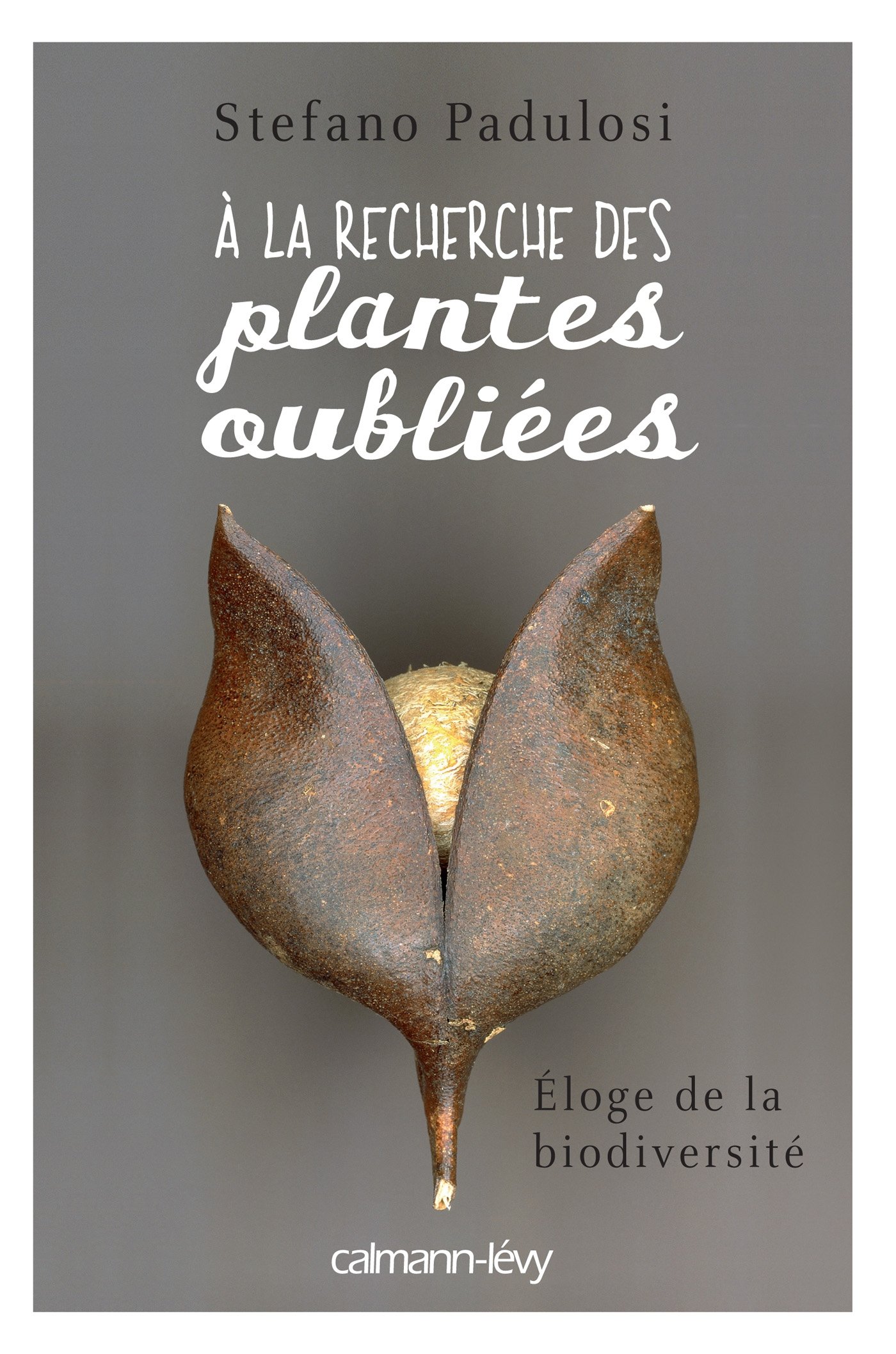 A la recherche des plantes oubliées: Eloge de la biodiversité (Documents, Actualités, Société) (French Edition)