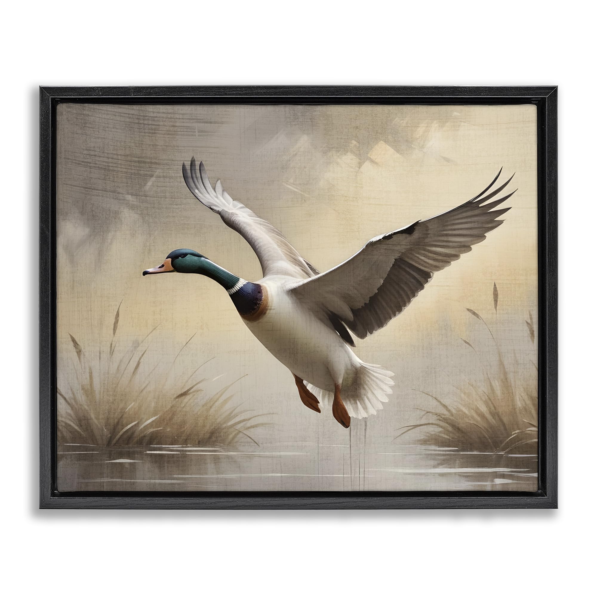 Stupell Industries Jet Black (Matte) 'Gliding Mallard Over Wetlands'| Floating Frame Canvas Art