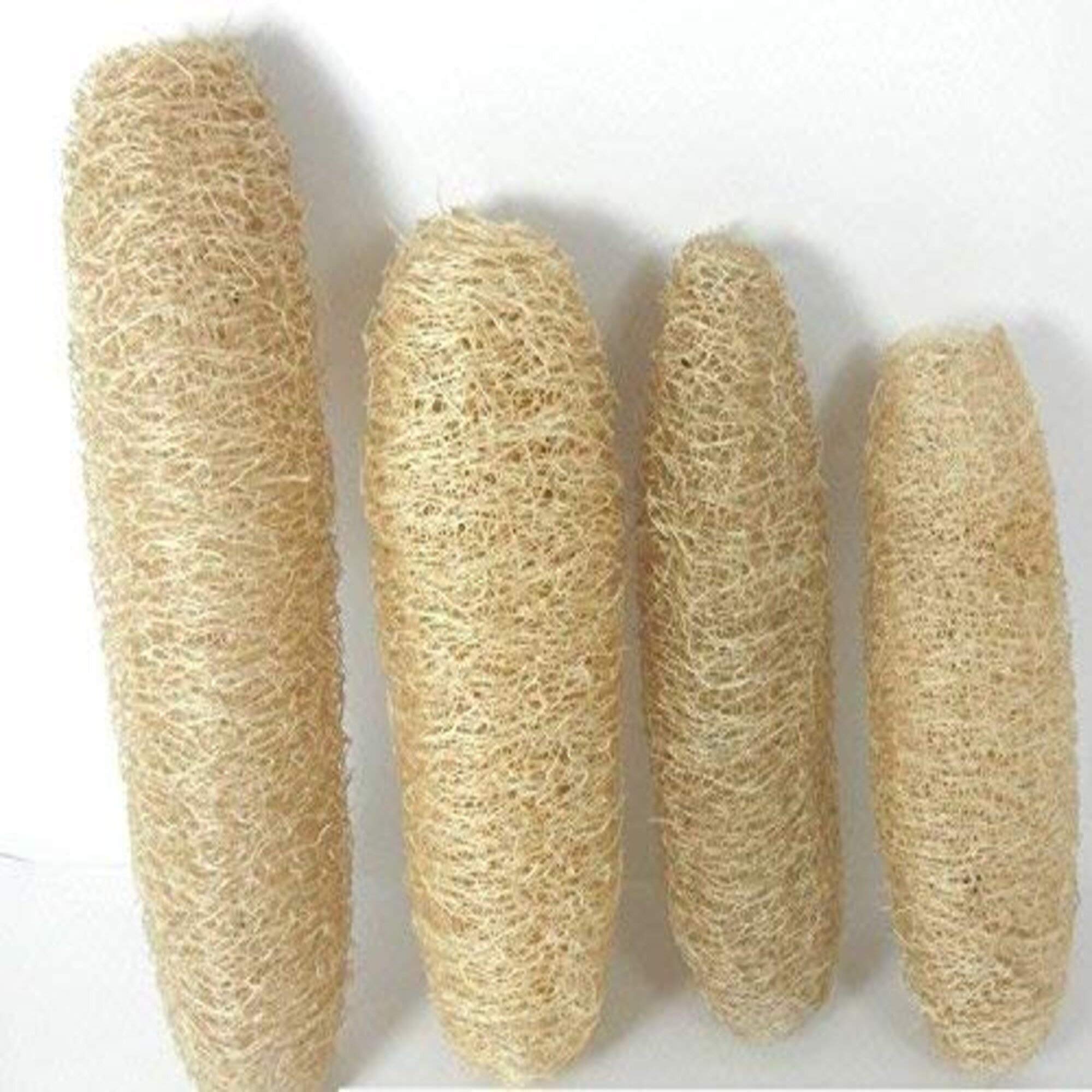 K3 ZONE Ridge Ground Fiber Natural Loofah 4 Pieces Family Pack
