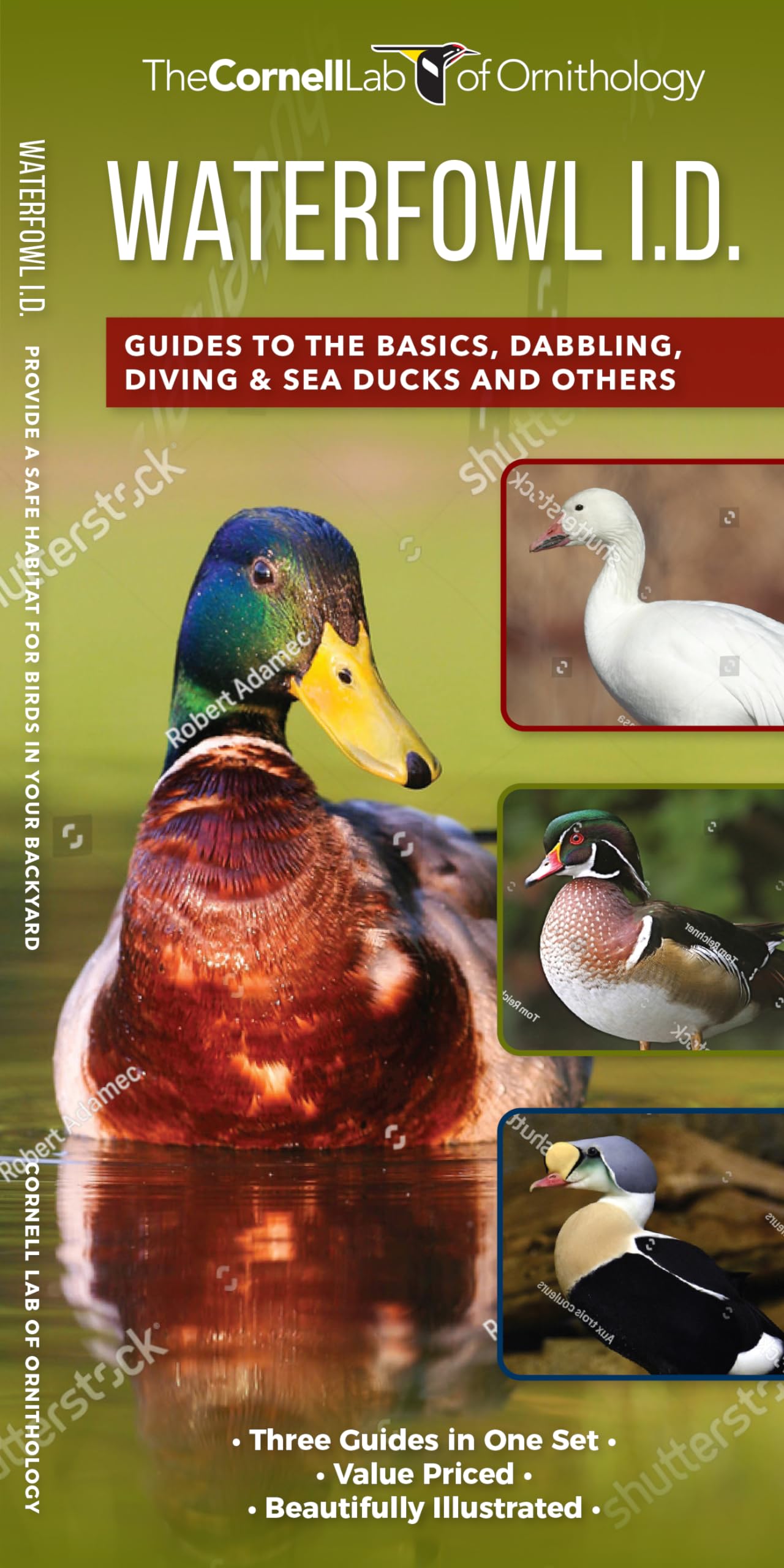 Waterfowl ID Set : A Complete Supplement to Indentify Waterfowl Based on ...