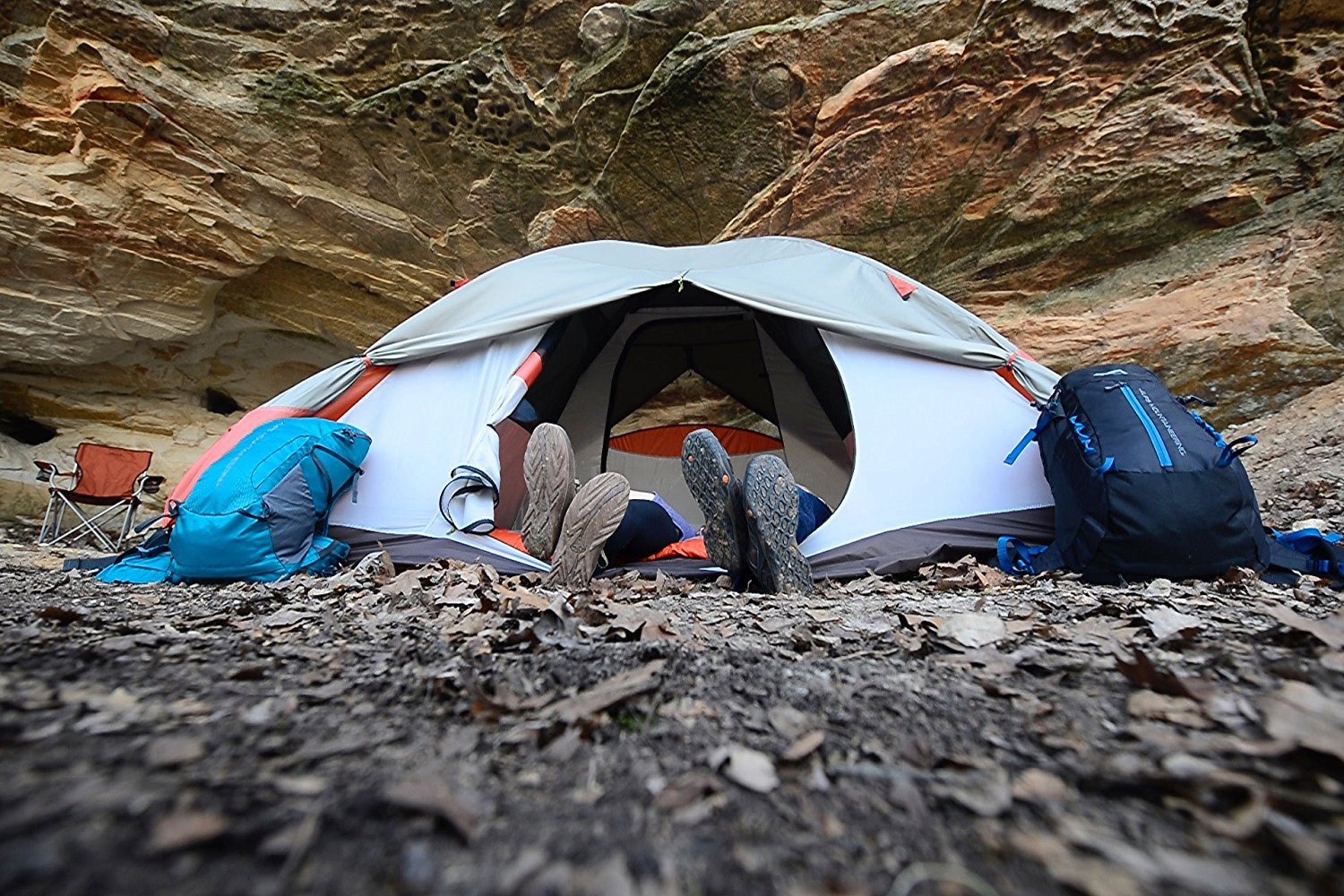 Amazon.co.jp: ALPS Mountaineering Lynx 4-Person Tent (並行輸入品