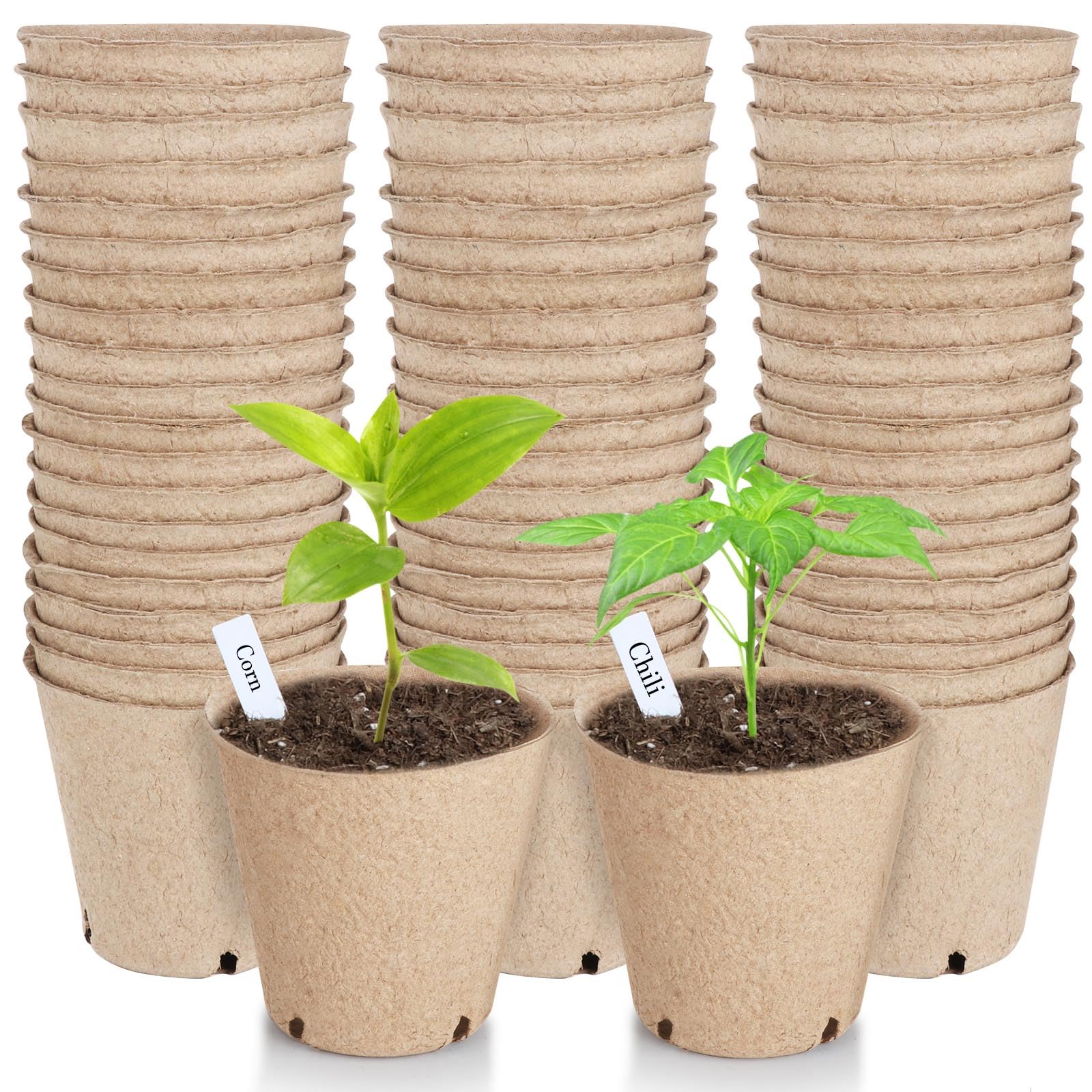 Peat Pots 8 cm, 65 Pcs Seed Starting Pot with Drainage Holes, 3.15 Inch Round Seedling Nursery Box, Small Seed Starting Starter Tray Bulk, Garden Germination Container with Bonus 65 Plant Labels - 1