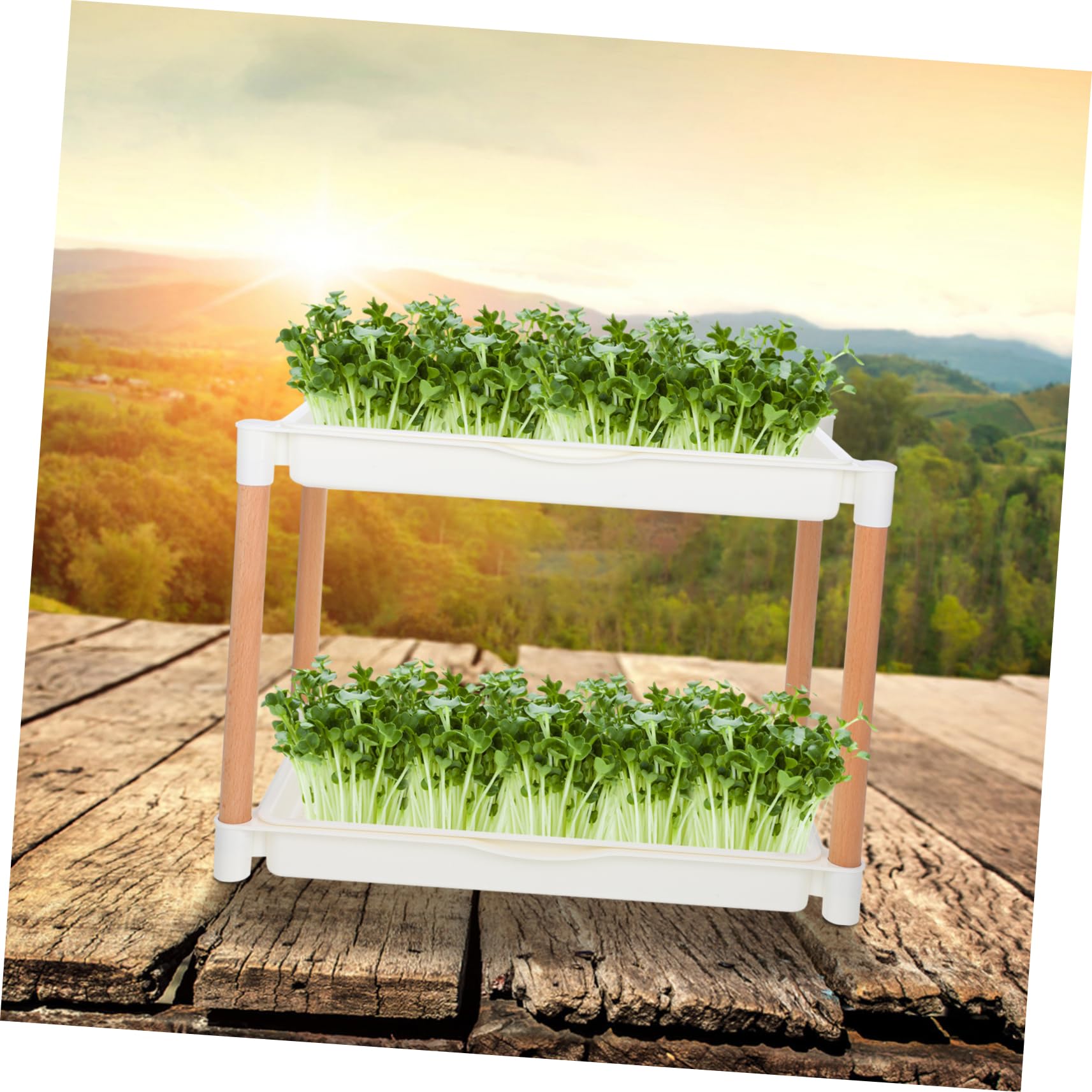 TOYANDONA Keimschale Für Sprossen Microgreens-anzuchtschale Mit Maschenlöchern Anzuchtschale Aus Pp-Material Doppelschichtige Keimschale Für Sprossen-anzucht Erdlose Keimplatte Für Weizengra
