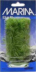 Marina Decoração de aquário Aquascaper, planta de chifre, 12 cm