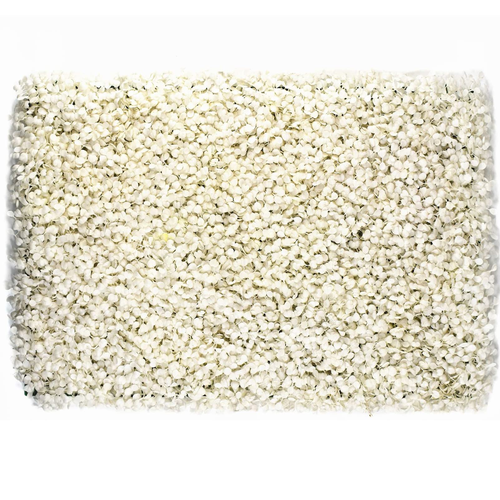 24 Piezas de setos de boj Artificiales para Pared, Valla de privacidad, Pared con vegetación, decoración para Interiores y Exteriores, Panel de privacidad para Exteriores con vegetación Arti