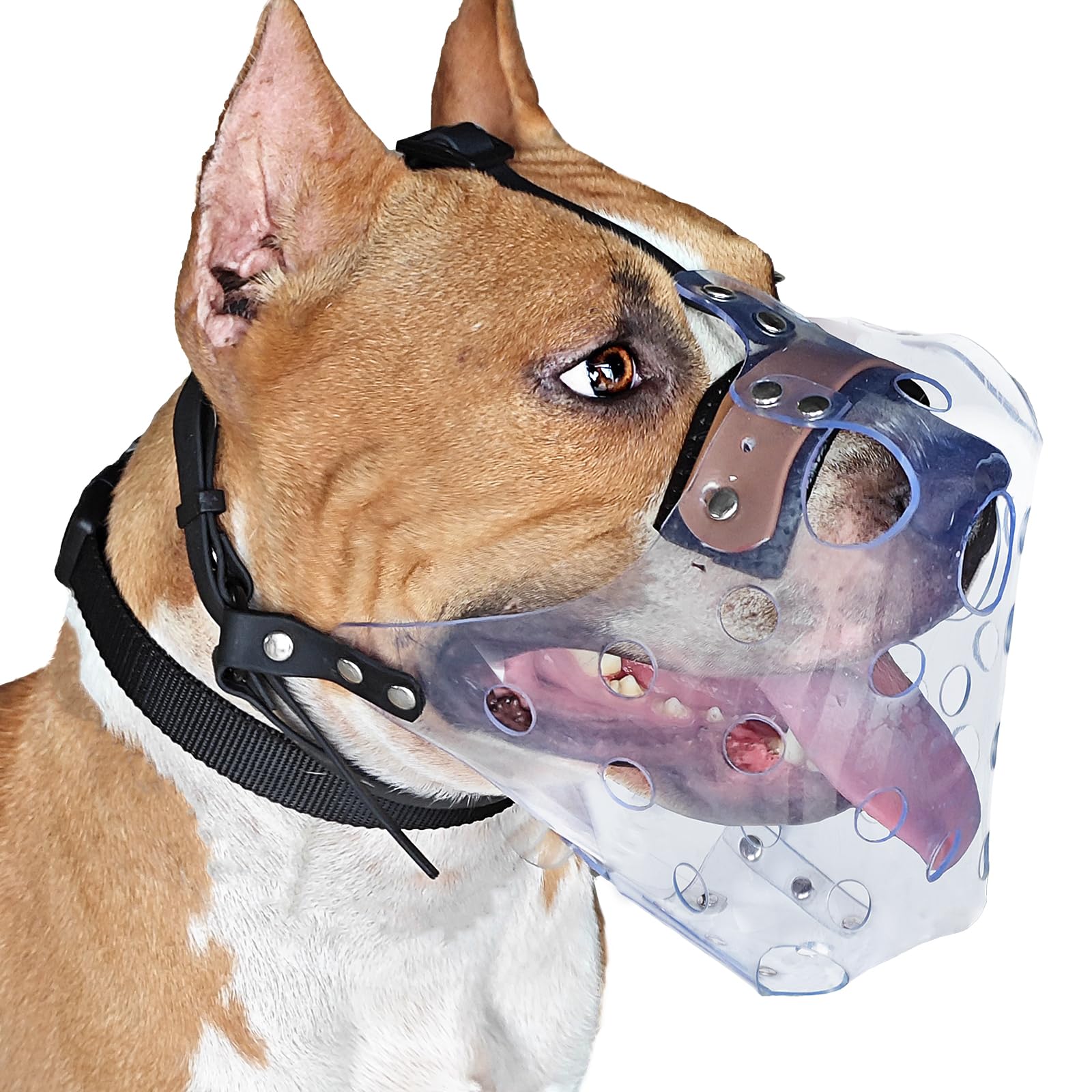 Mayerzon Pitbull Muzzle, Basket Muzzle for Large Dogs Rottweiler to Prevent Biting Chewing Scavenging, Breathable Dog Mouth Guard for Grooming Vet