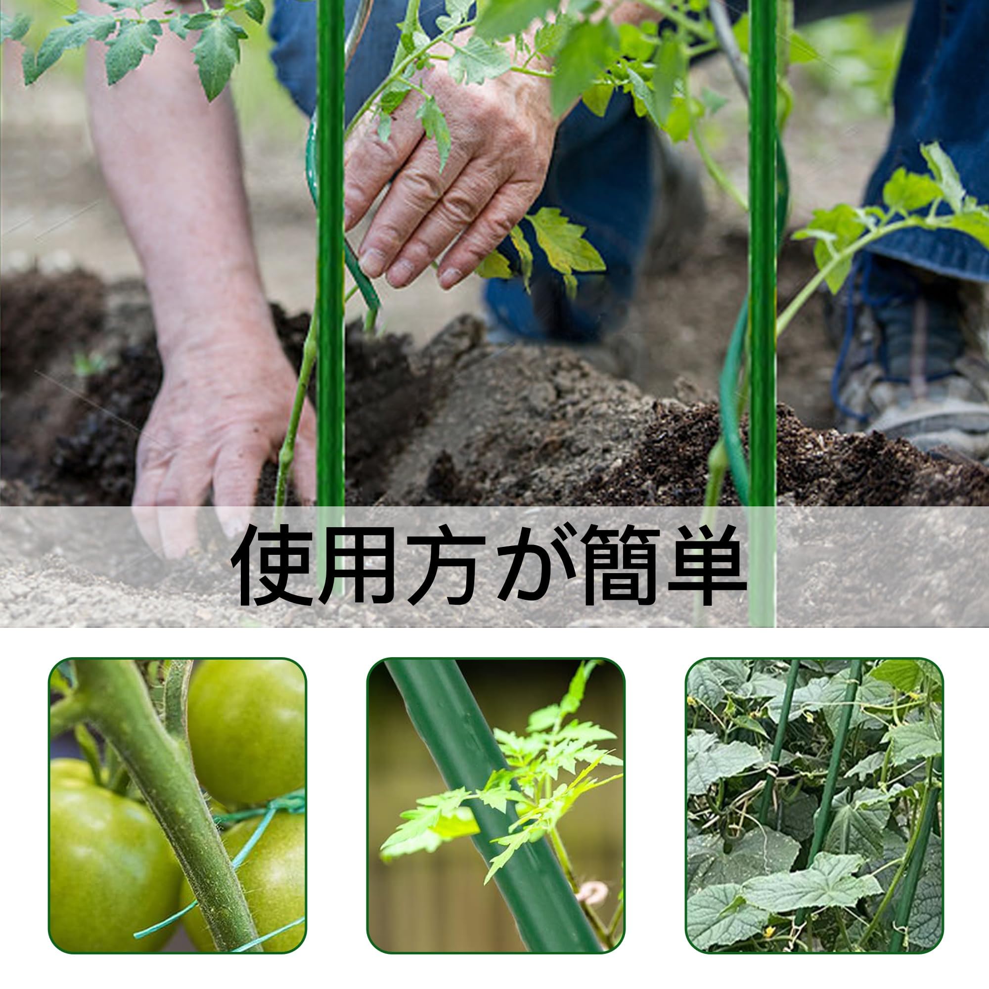 Amazon | 支柱 園芸 60cm 直径8mm 30本入り、イボ付 鋼管製の園芸 