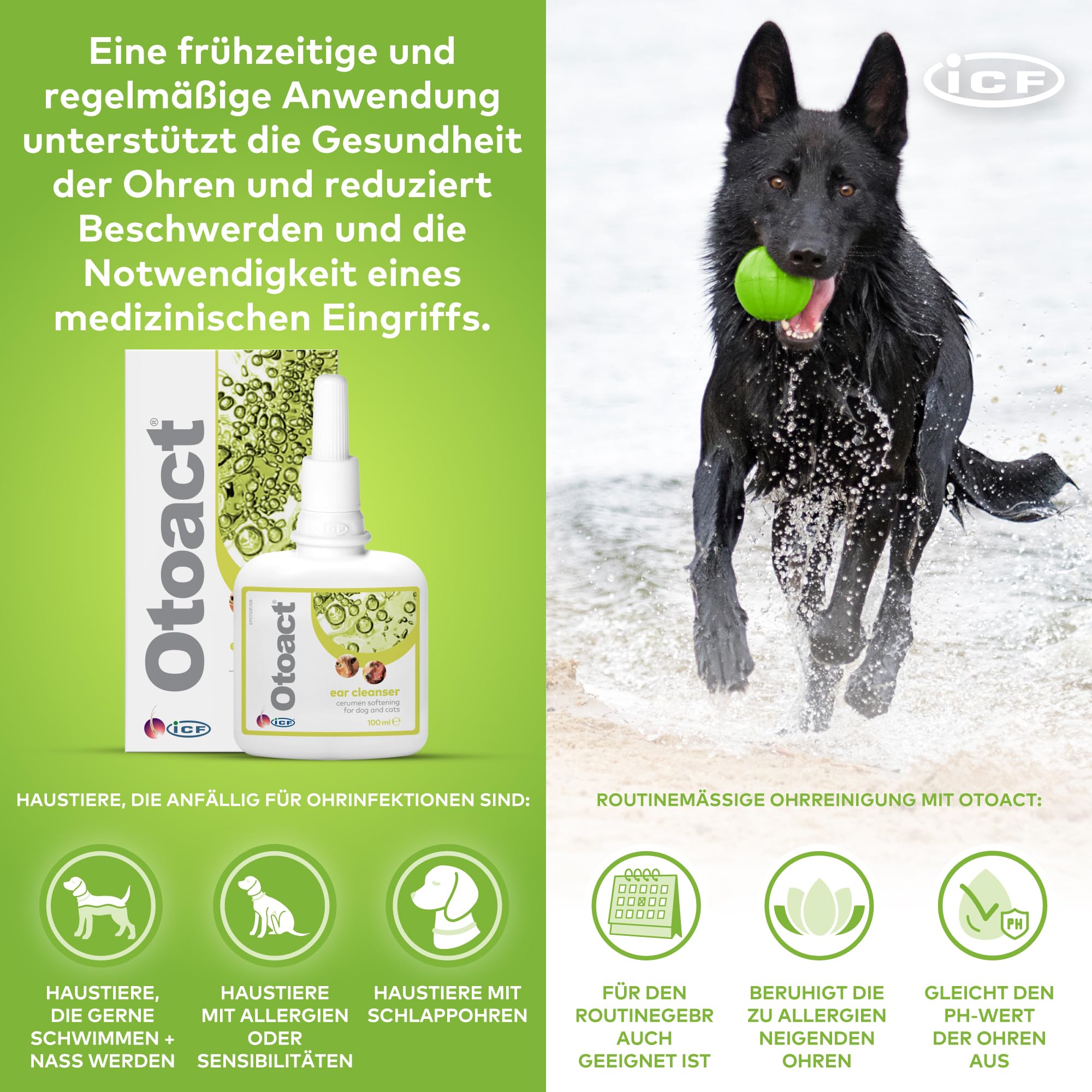 Otoact Ohrenreiniger für Hunde & Katzen | Sanfte Ohrreinigungslösung | Entfernt Ohrenschmalz & Unterstützt die Ohrenhygiene | Einfache Anwendung & Nicht reizend | 100ml