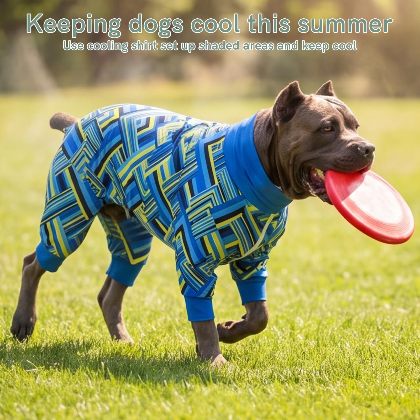Camicia estiva per cani con protezione solare UV, camicia rinfrescante per cani, ad asciugatura rapida, leggera, per animali domestici, abbigliamento per cani UPF 50, abbigliamento traspirante per