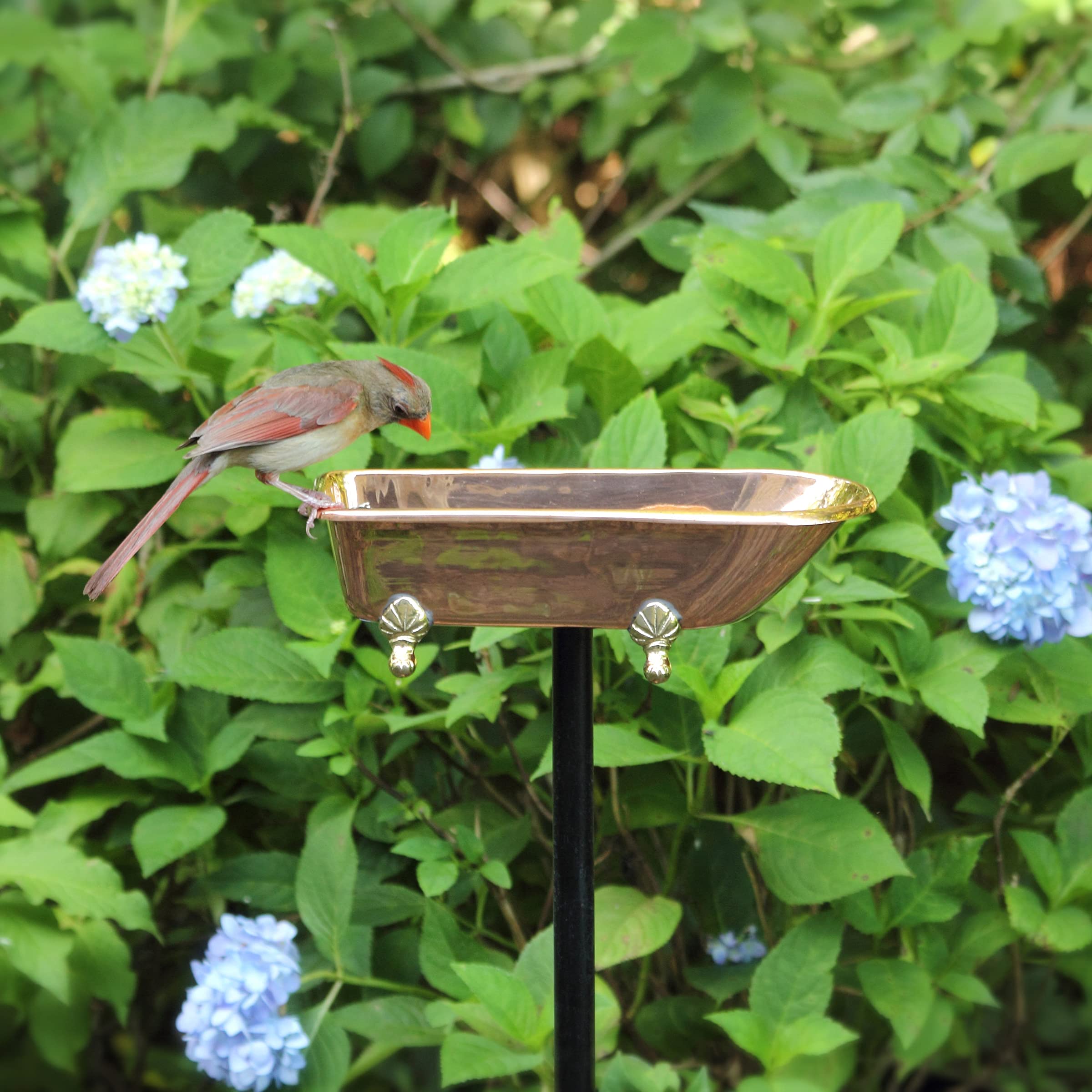Zuiver Koperen Vogelbad, Met Klauwvoet Badkuipontwerp Gepolijst Koper Door Good Directions 2370868769