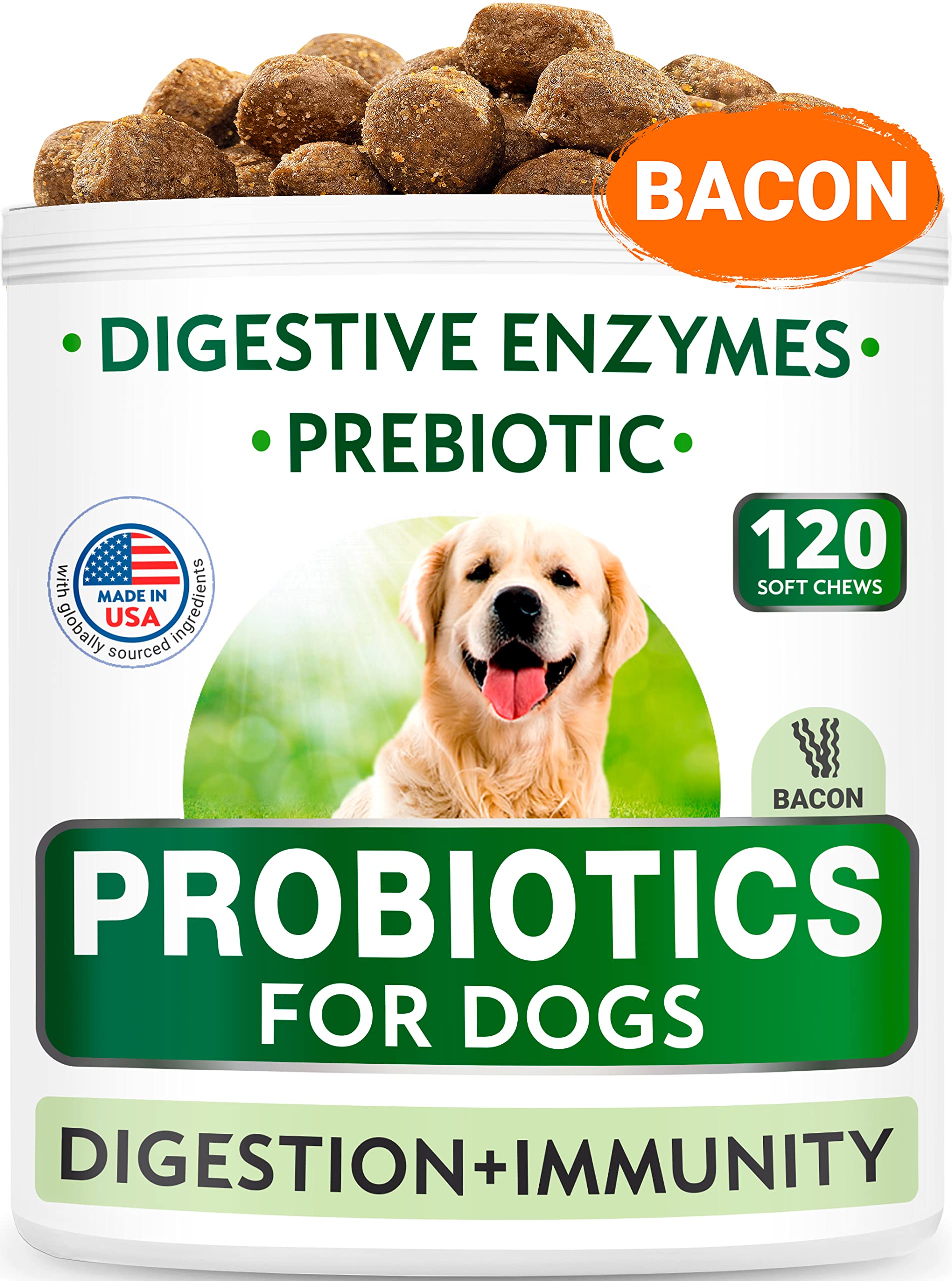 What Will Help An Upset Stomach In A Dog