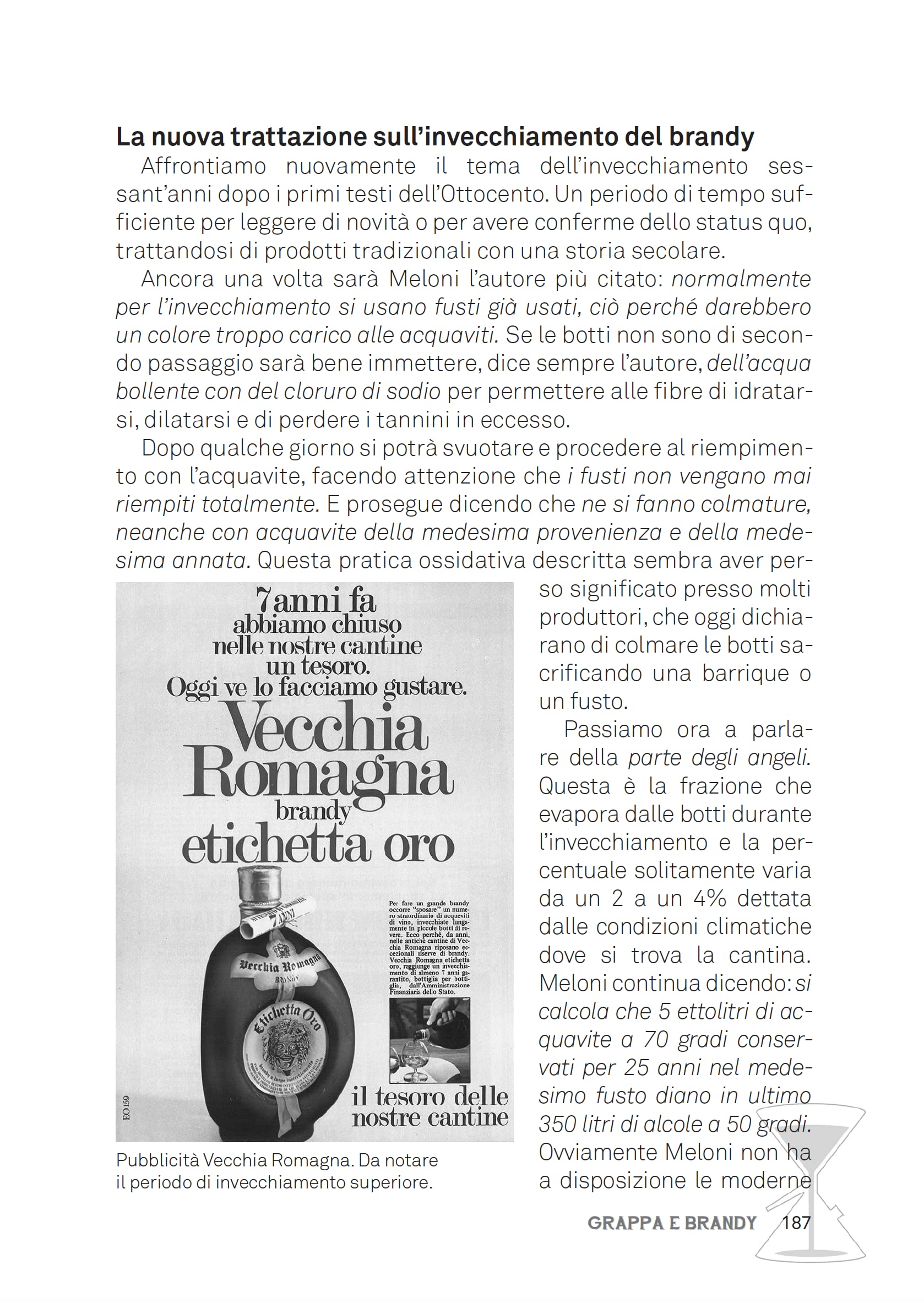 Grappa e brandy. Storia e produzione dei figli del vino
