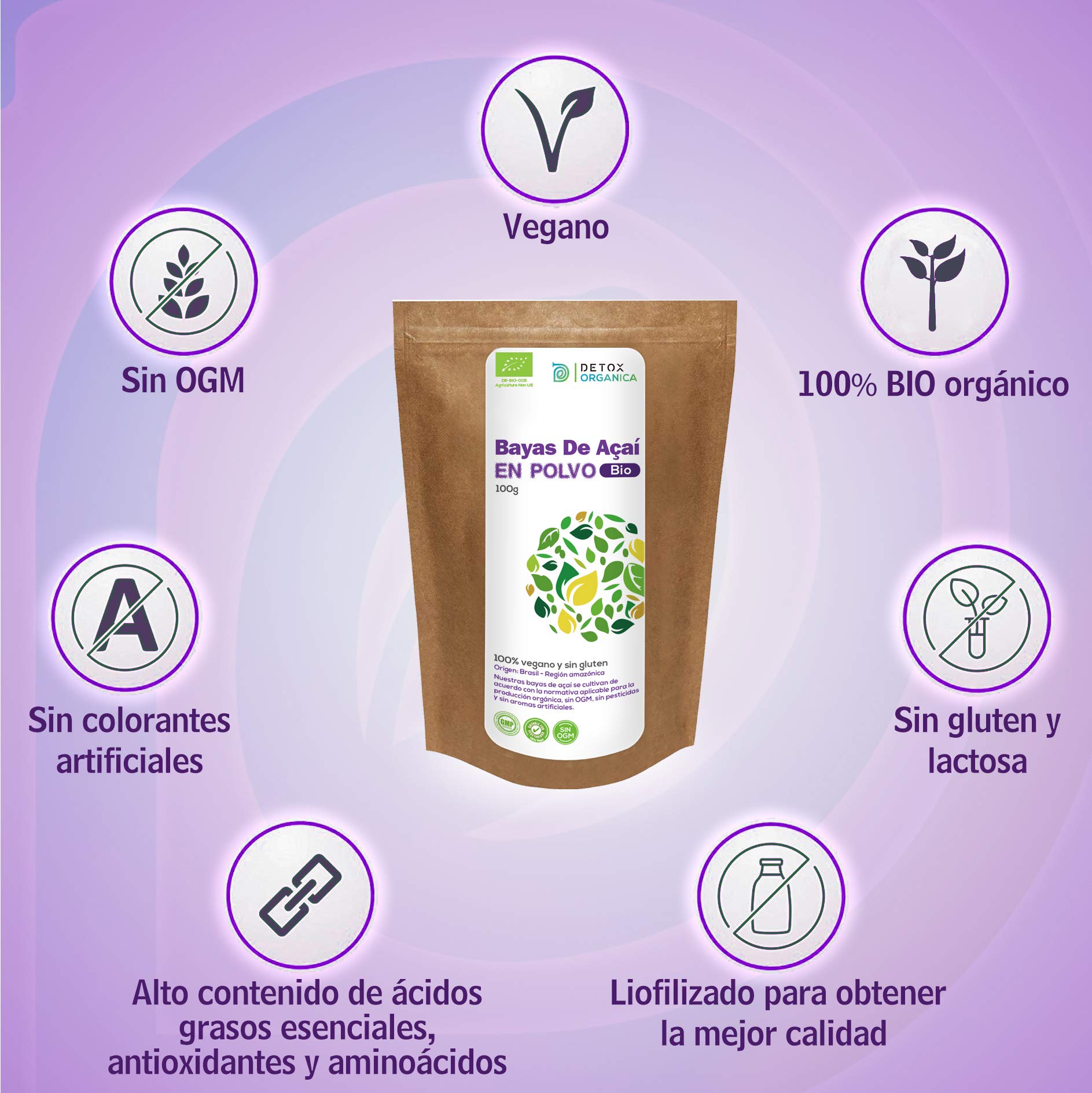Detox Organica Bayas De Acai Polvo Orgánico - 100g Açaí en Polvo BIO -Bayas De Acai Organico Freeze-Dried – Extracto Crudo de la Pulpa – Cultivado en Brasil, Liofilizado