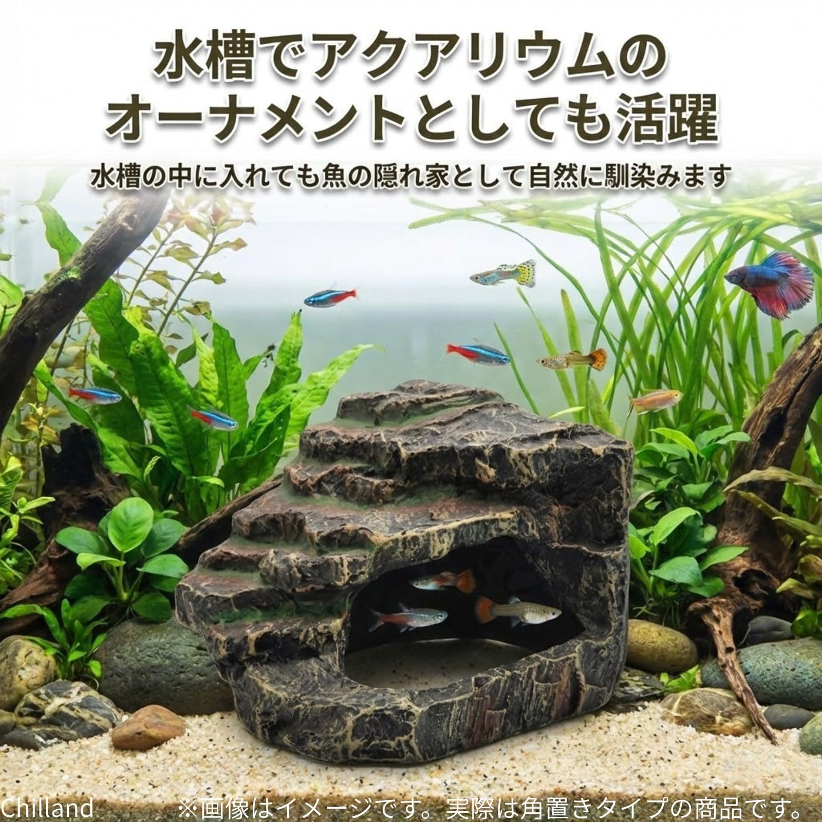 Amazon | Chilland 爬虫類 シェルター 隠れ家 テラリウム オブジェ