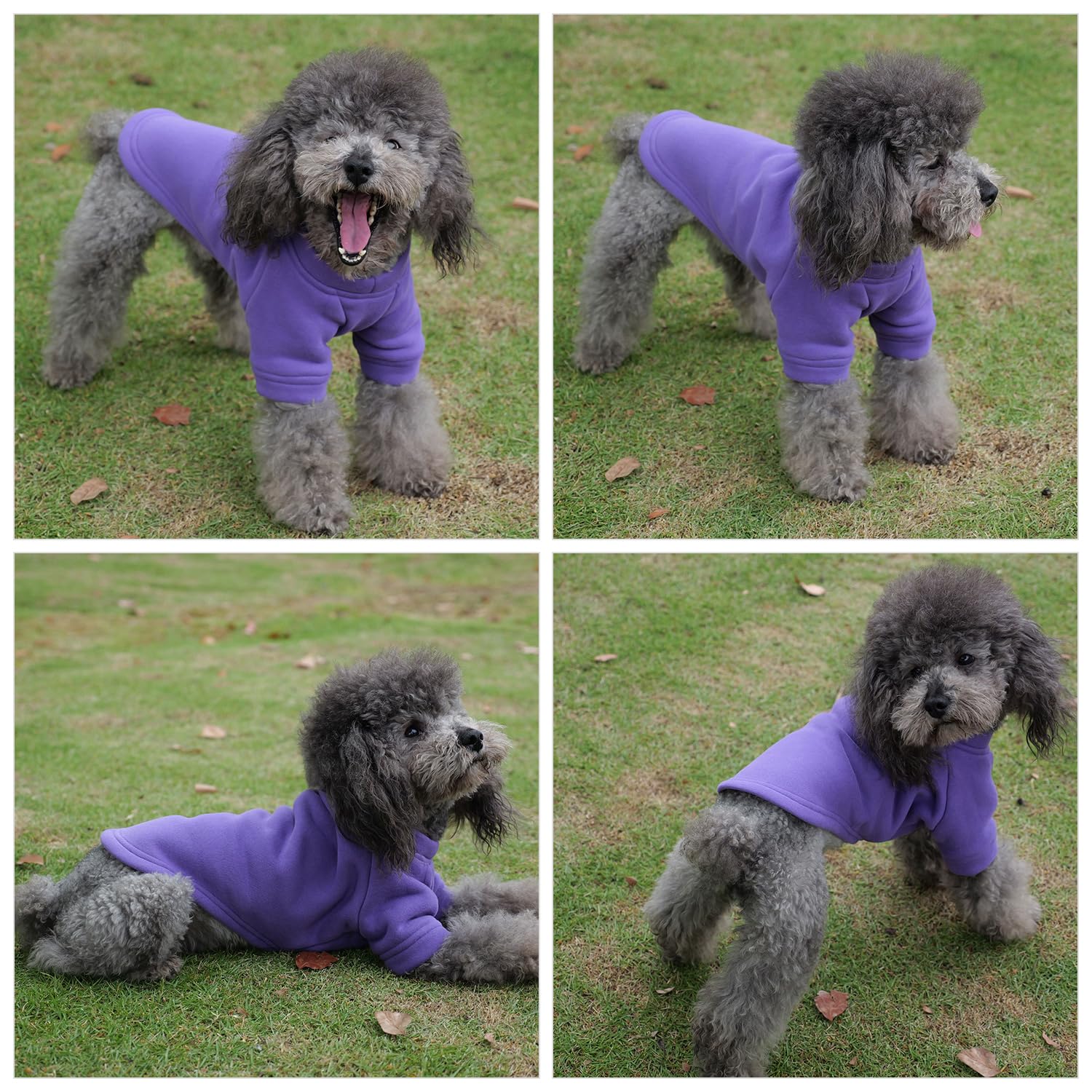 Lovelonglong Sweatshirt Cold Weather Pullover Autumn and Winter T-Shirts for Small Medium Large Size Dogs Purple 3XL - Image 4