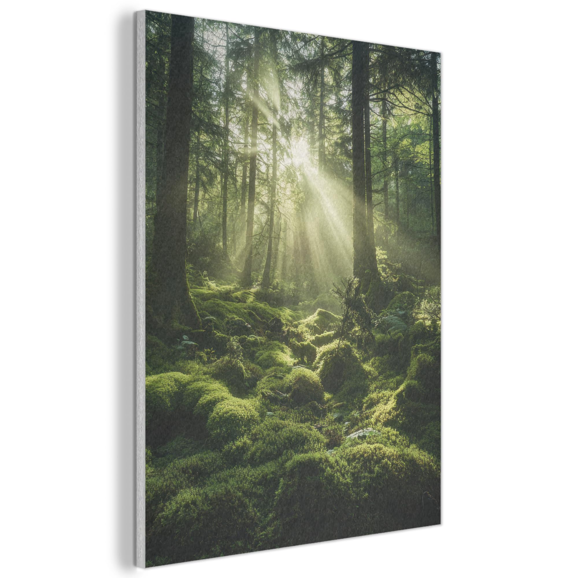MuchoWow© Felt Panel 70x100 cm Framed Print Painting for Entryway Interior Accent Decoration Wall Art Sunbeams - Forest - Moss - Green